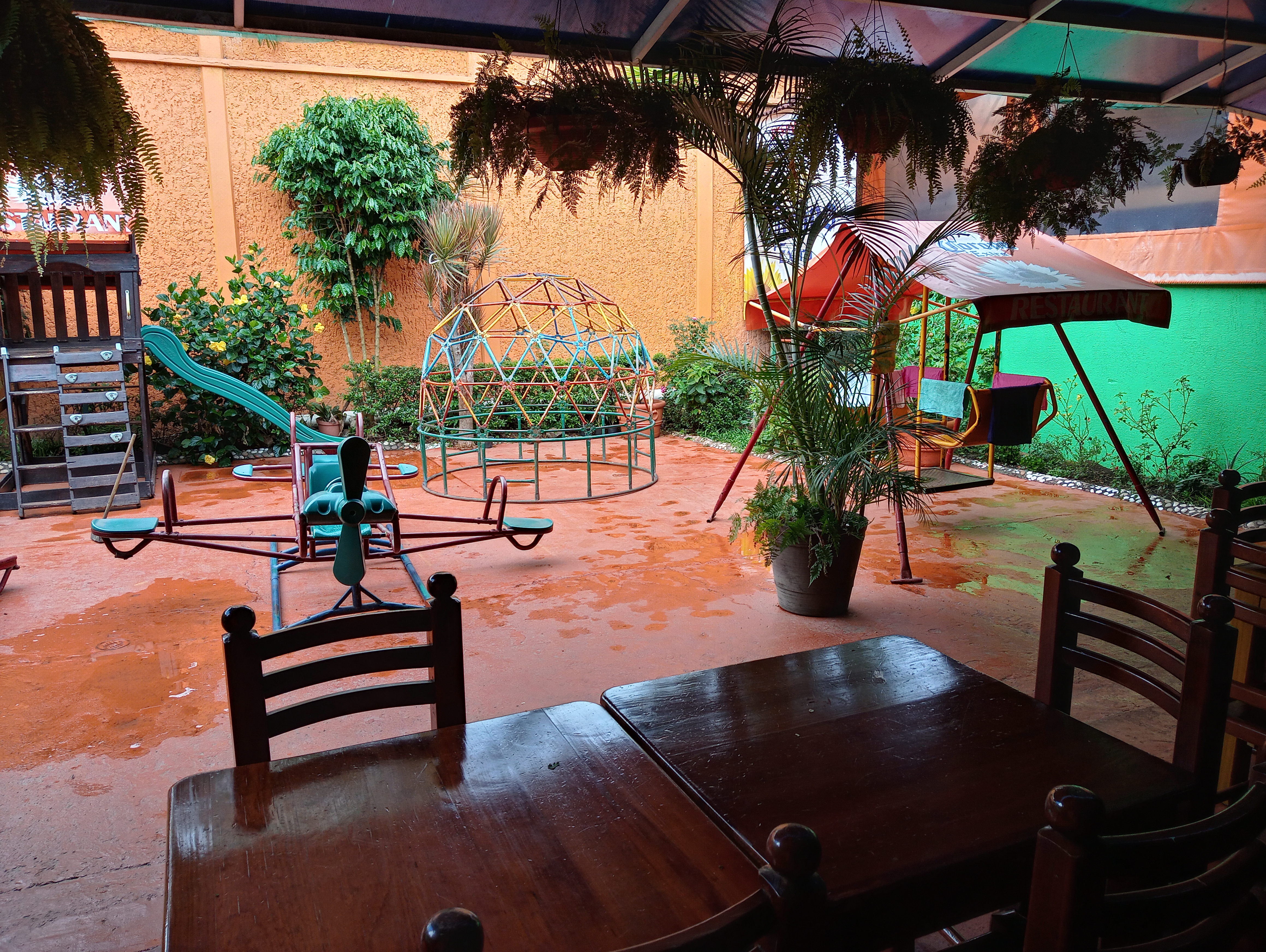 Restaurante Los Girasoles image 4