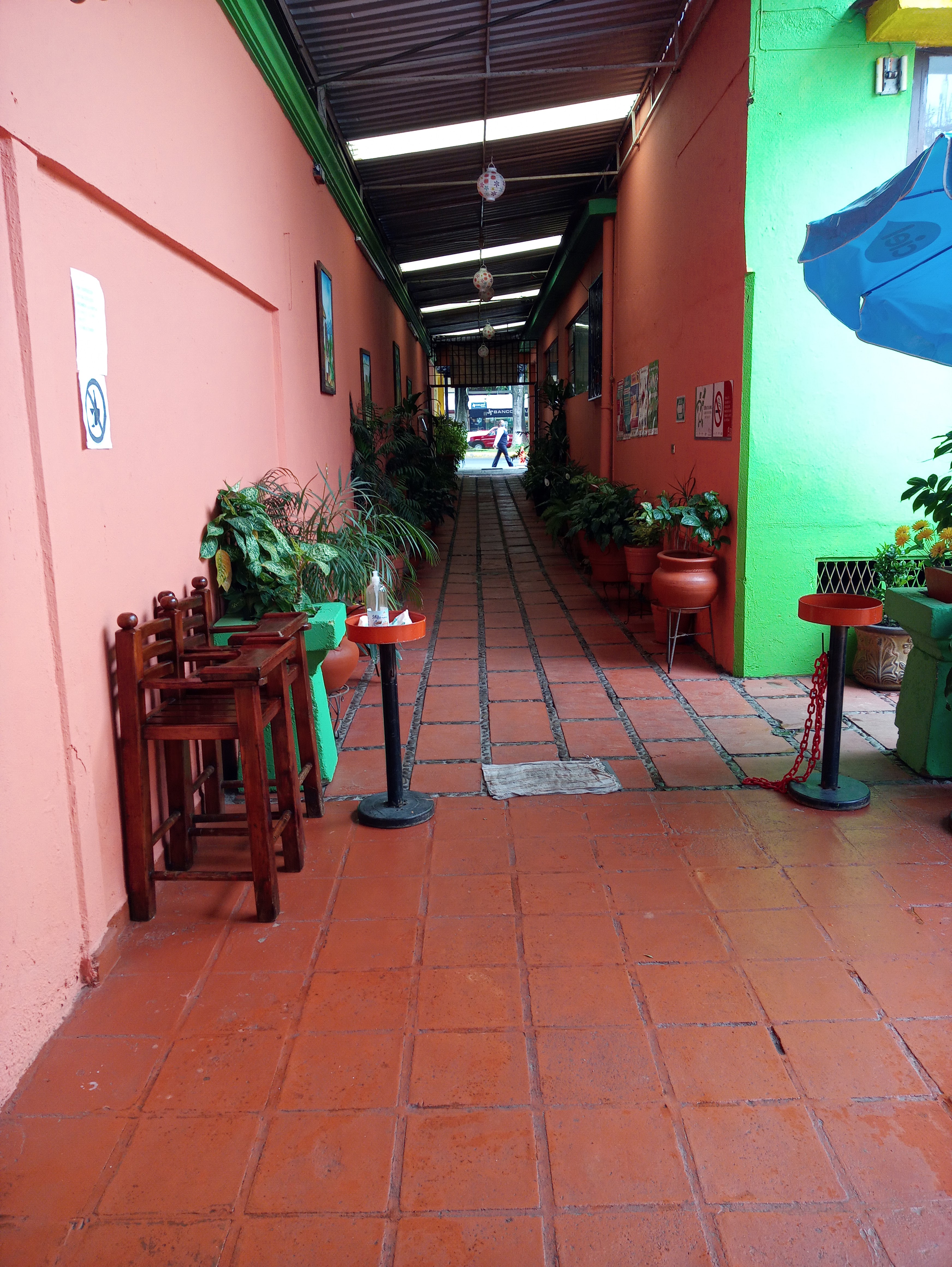 Restaurante Los Girasoles image 5