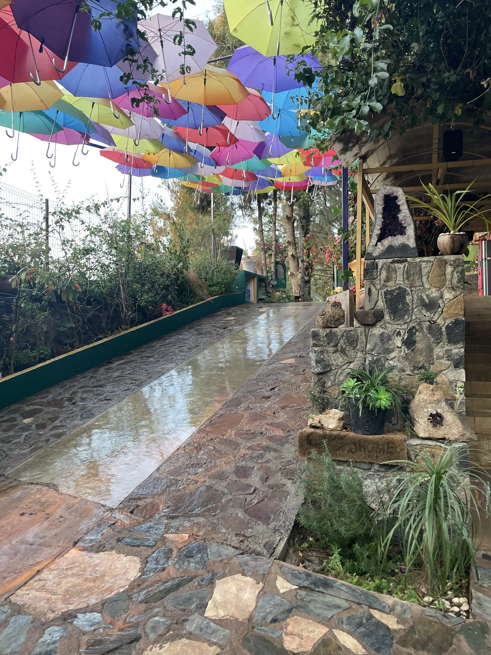 Vientos Casa Trattoría image 3
