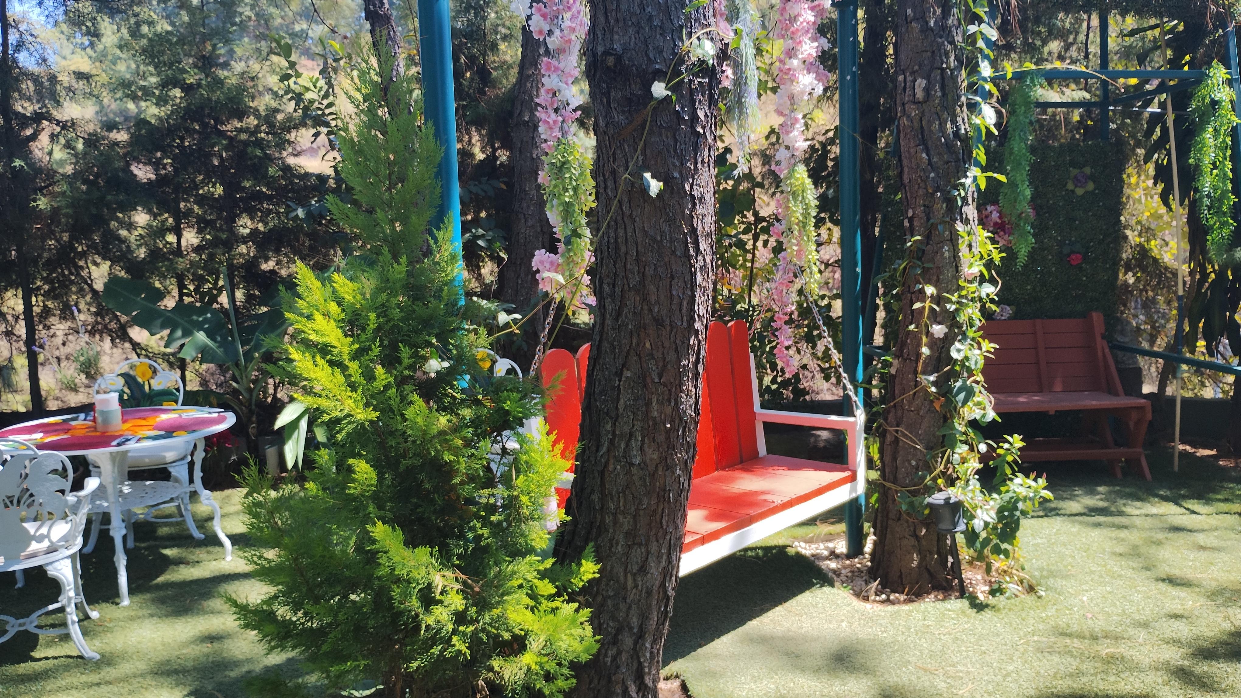 Vientos Casa Trattoría image 4