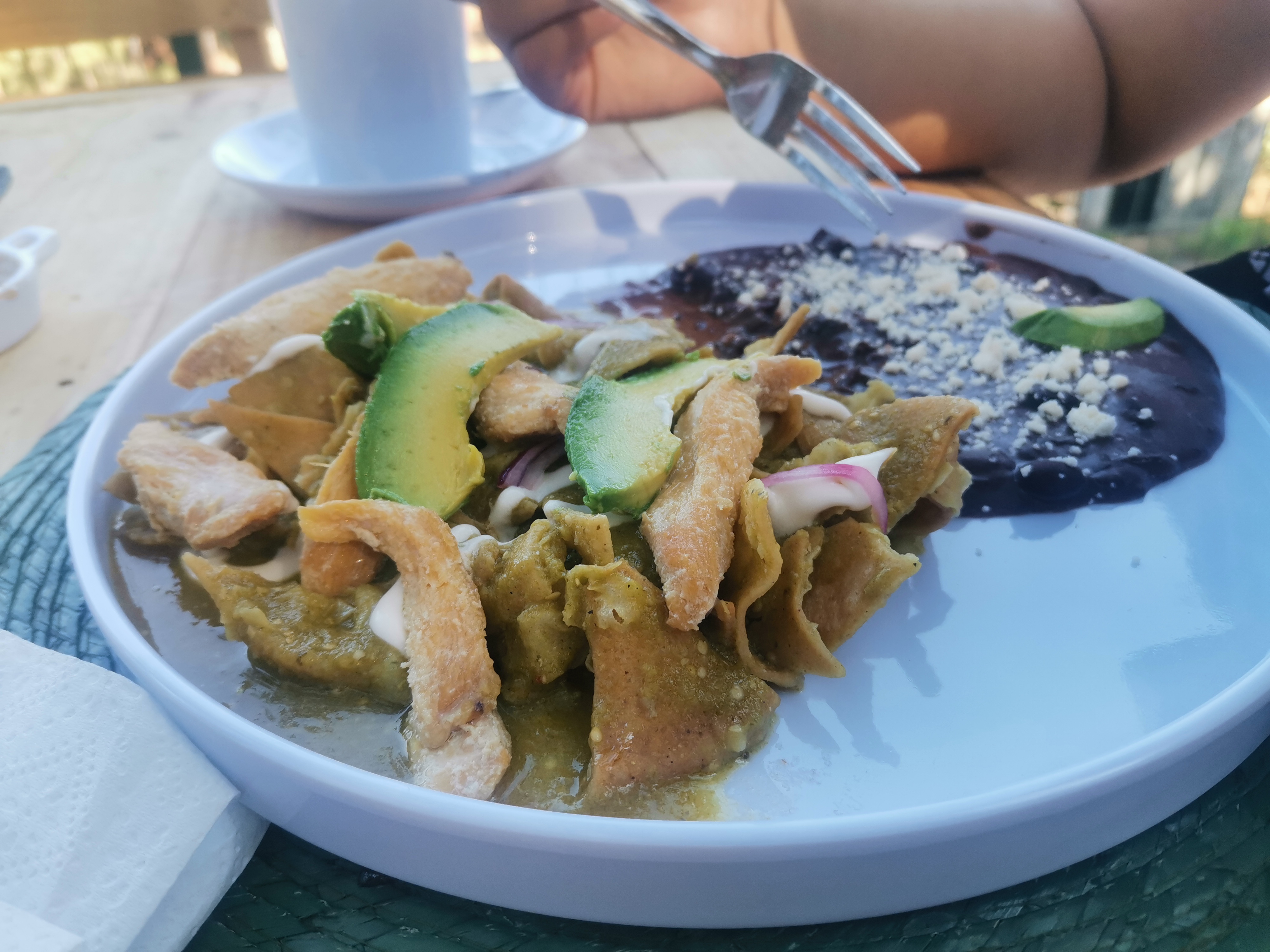 Vientos Casa Trattoría image 7