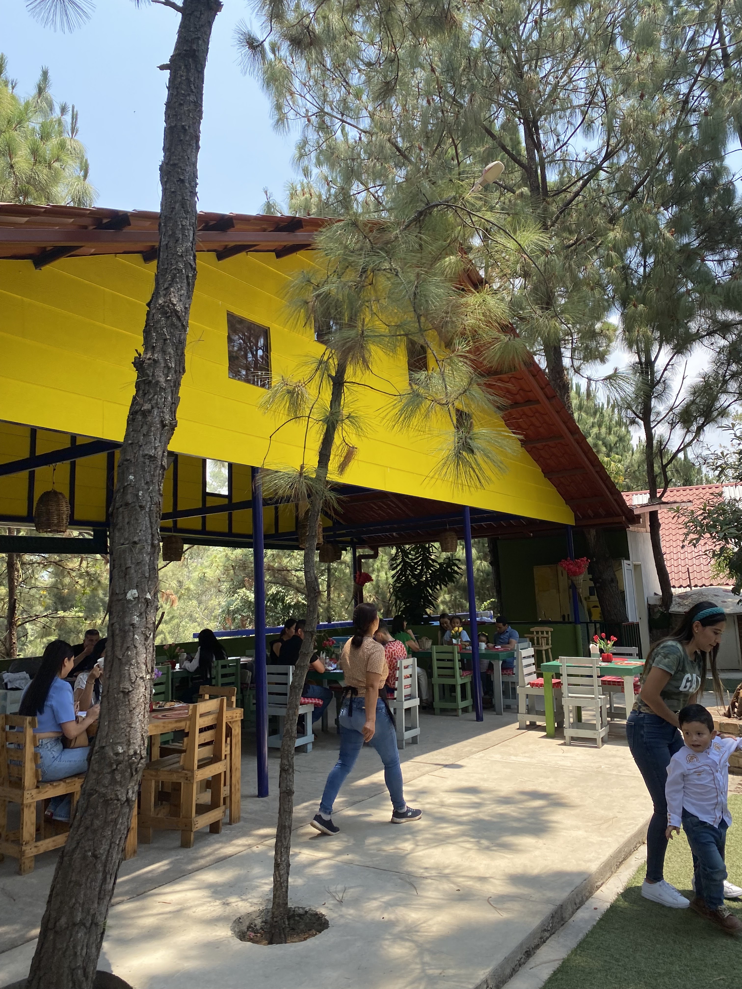 Vientos Casa Trattoría image 8