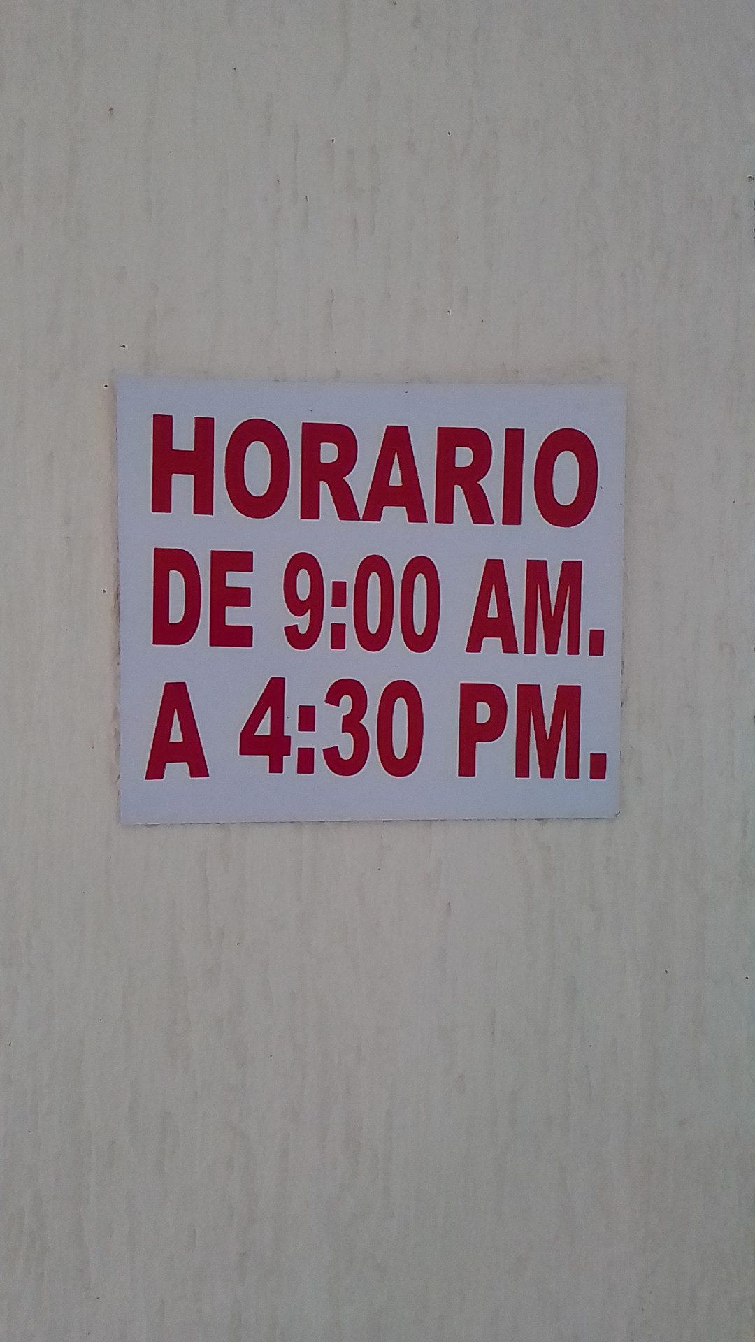 LA CASA DE LA TORTA image 5