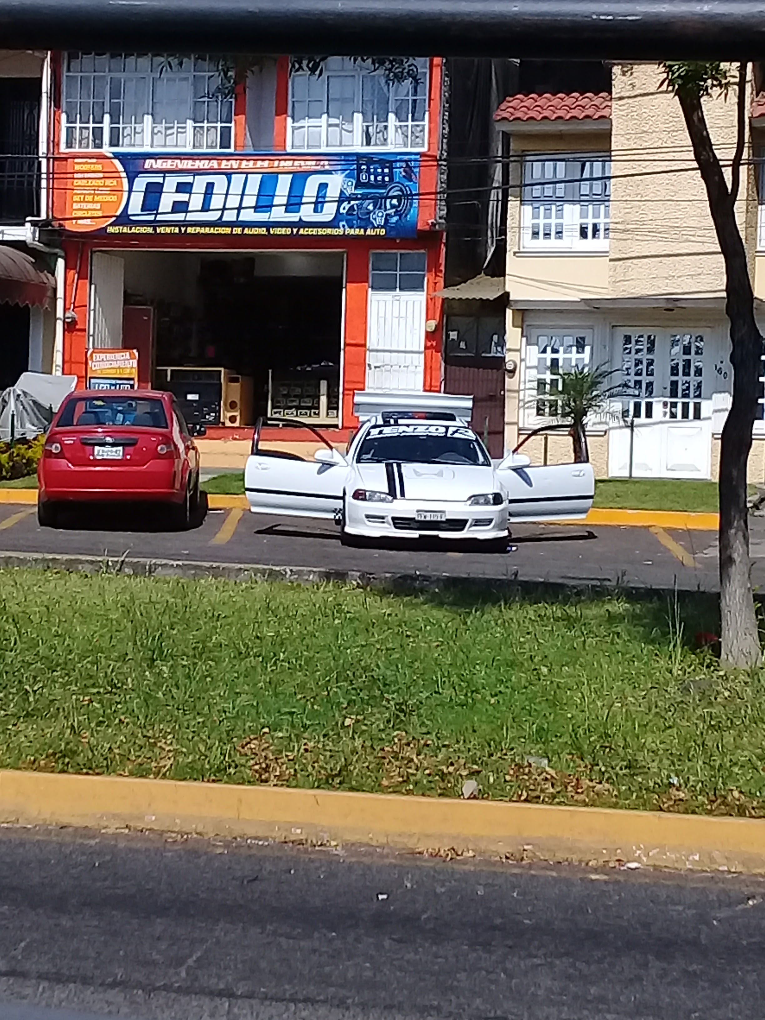 Restaurant Los Cipreces image 7