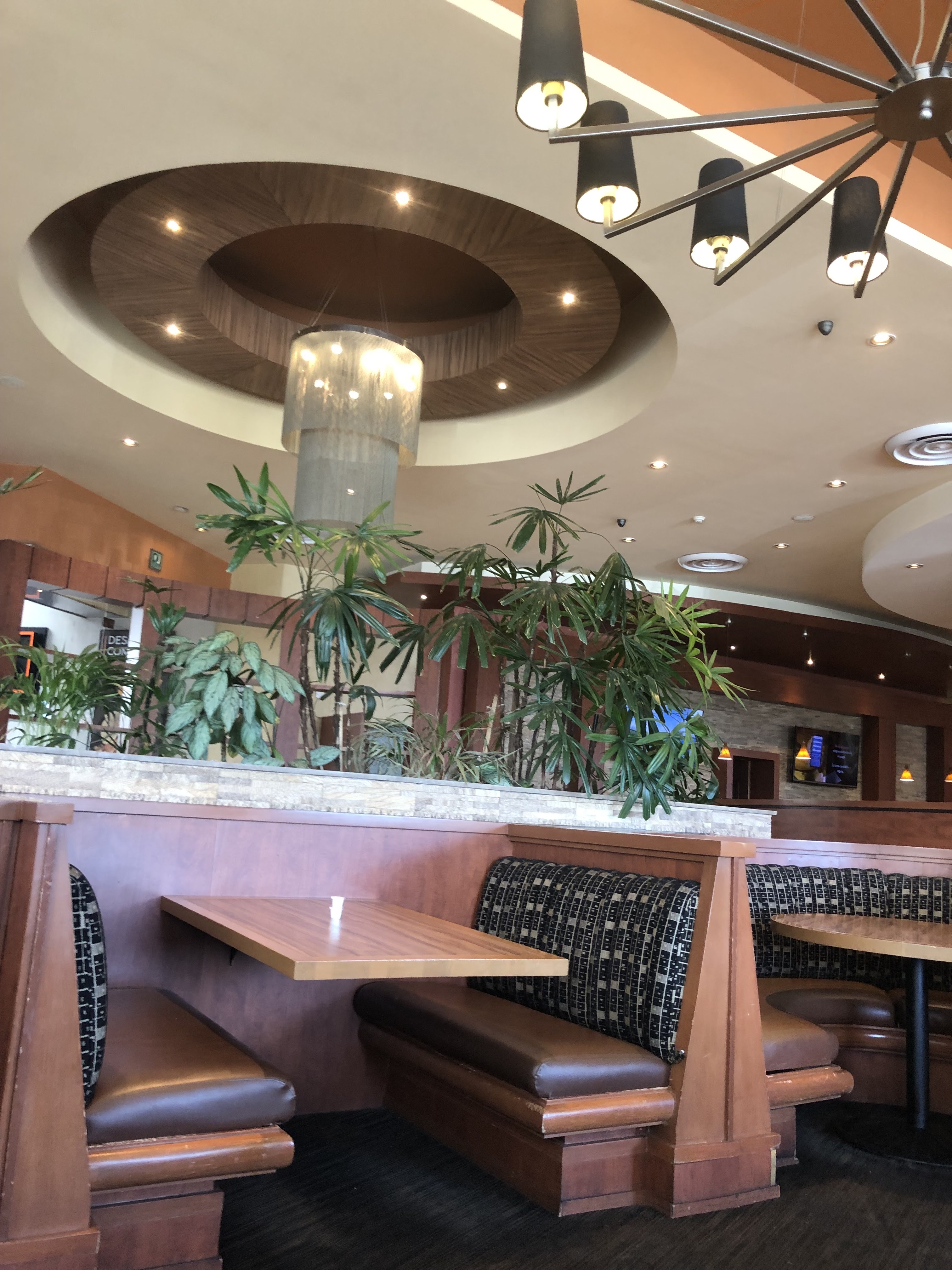 Restaurante Toks Uruapan image 3