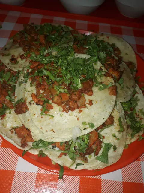 Tacotorro image 5