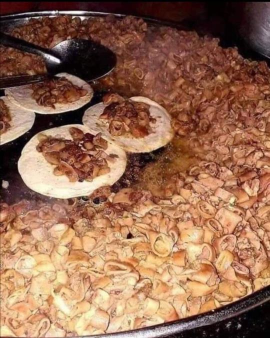 Taquería El Alex image 10