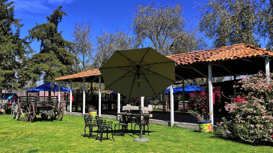 El Rojo Restaurante image 3