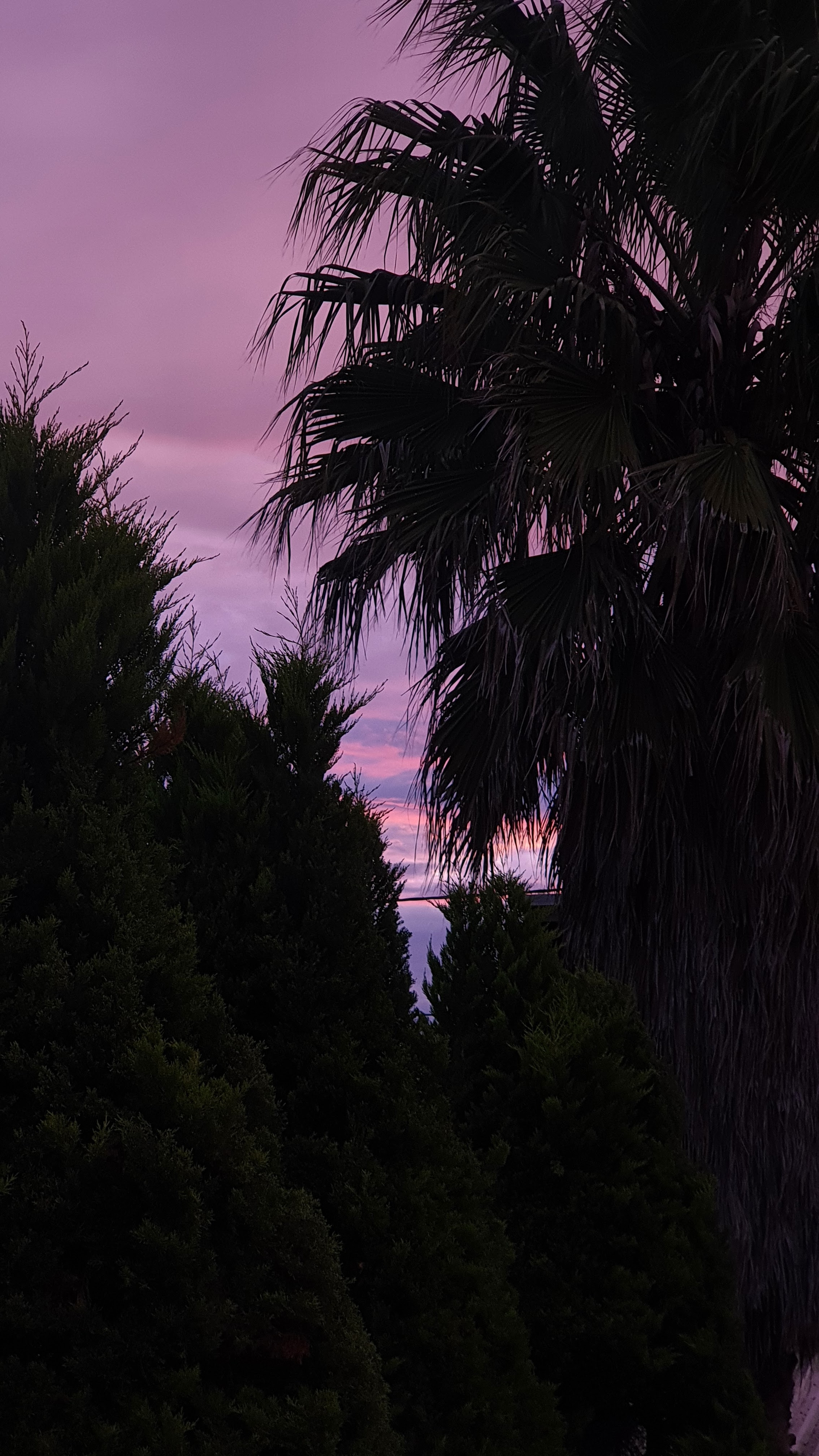 La Casa del León image 2