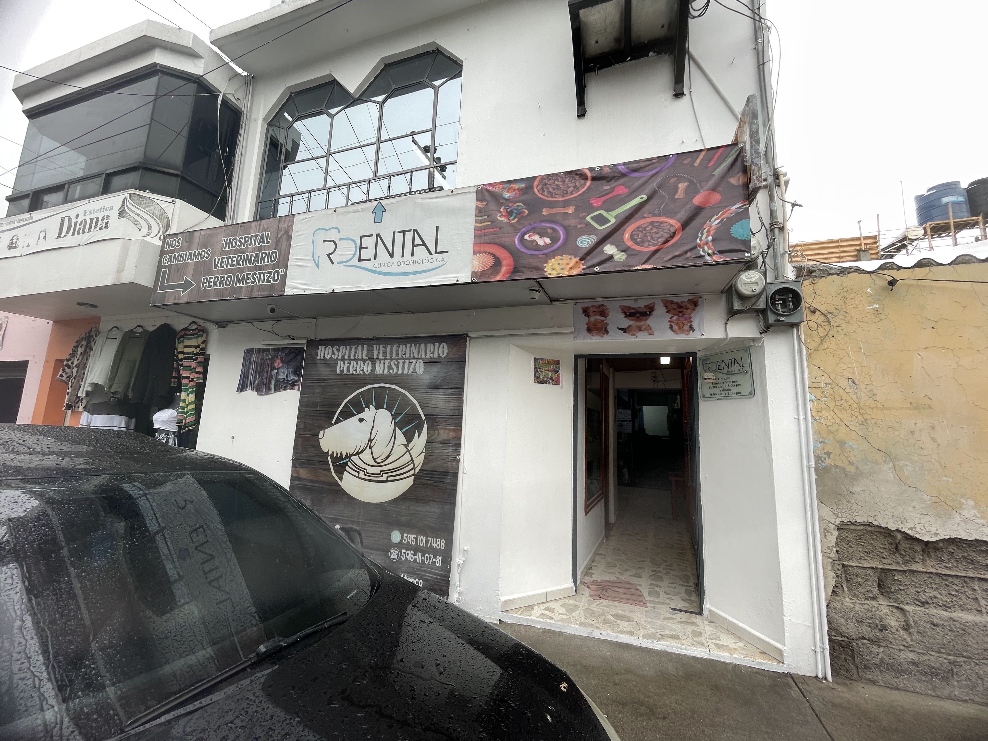 La Casa del León image 3