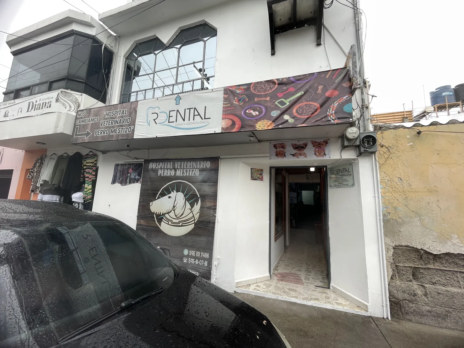 La Casa del León image 3