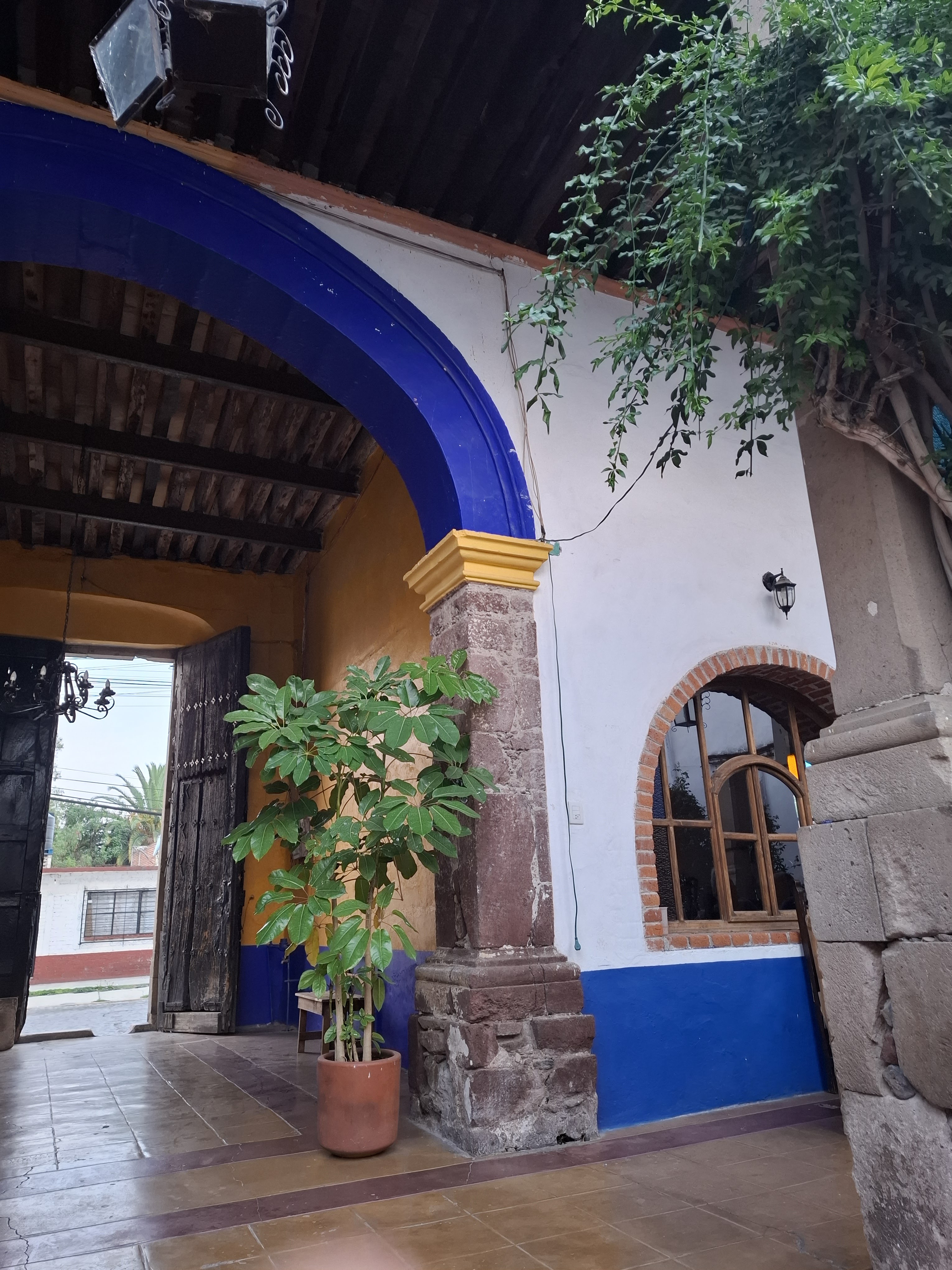 Restaurante Los Dos Patios image 6