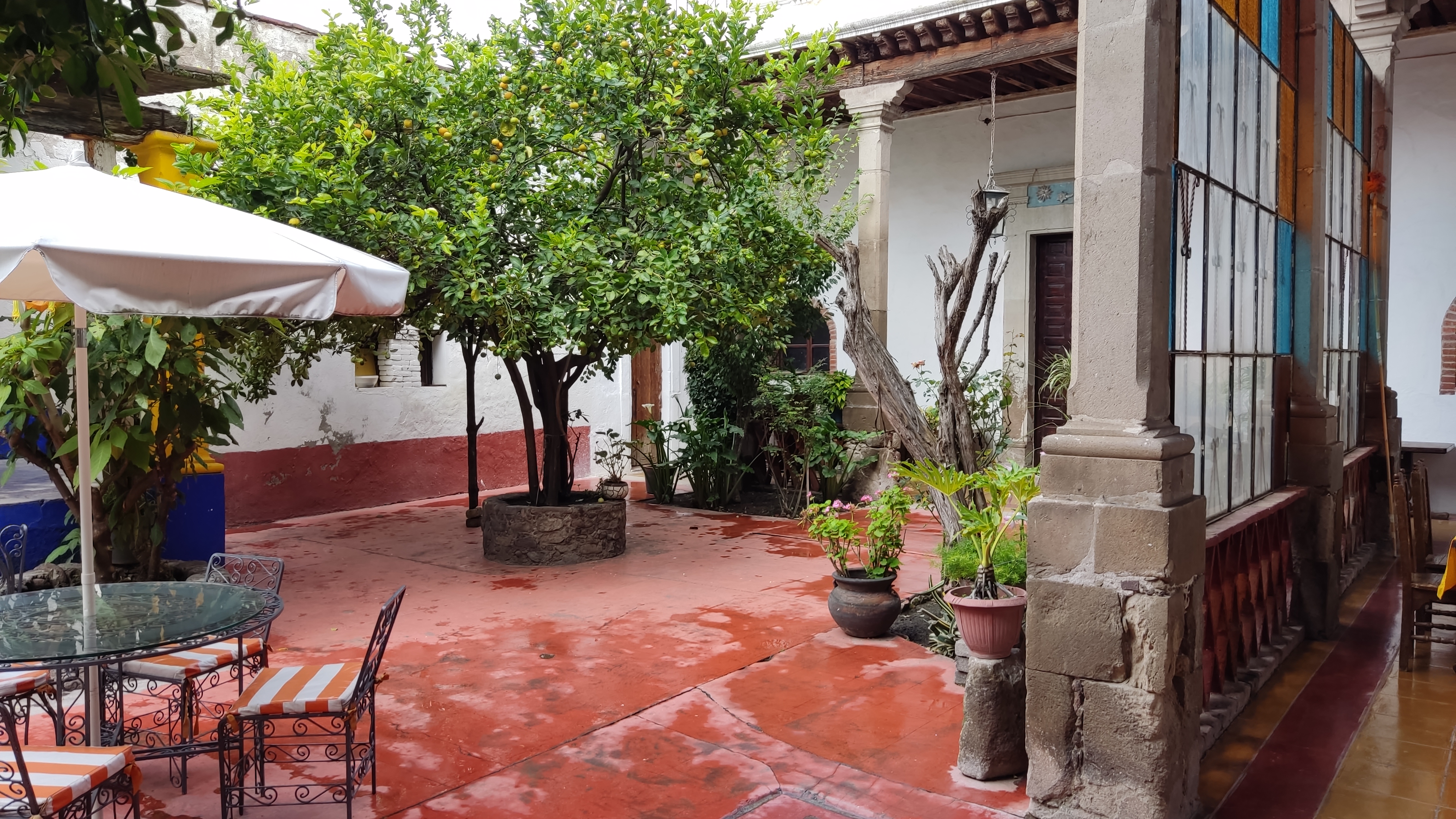 Restaurante Los Dos Patios image 7