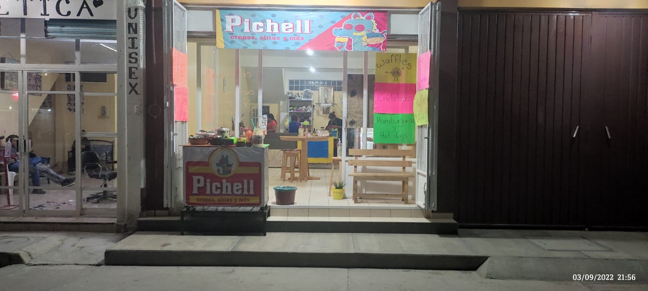 Pichell image 7