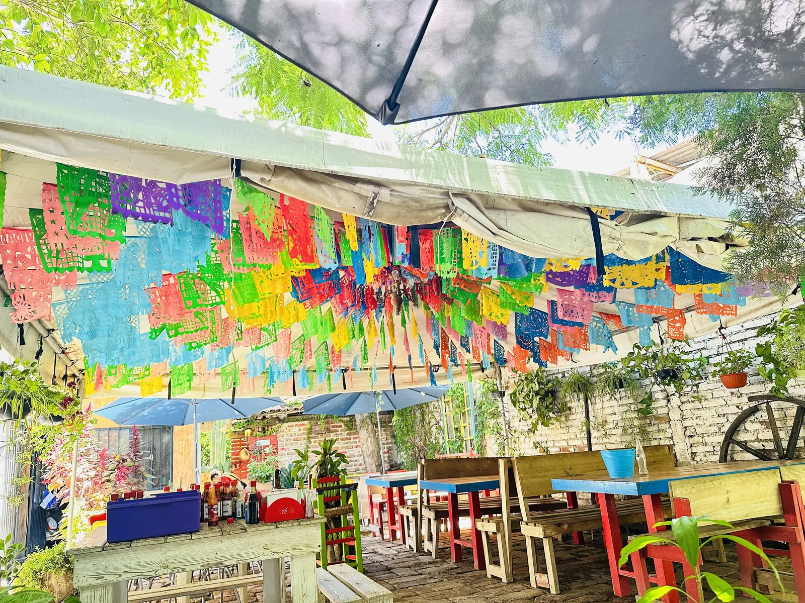 Mi Ranchito image 7