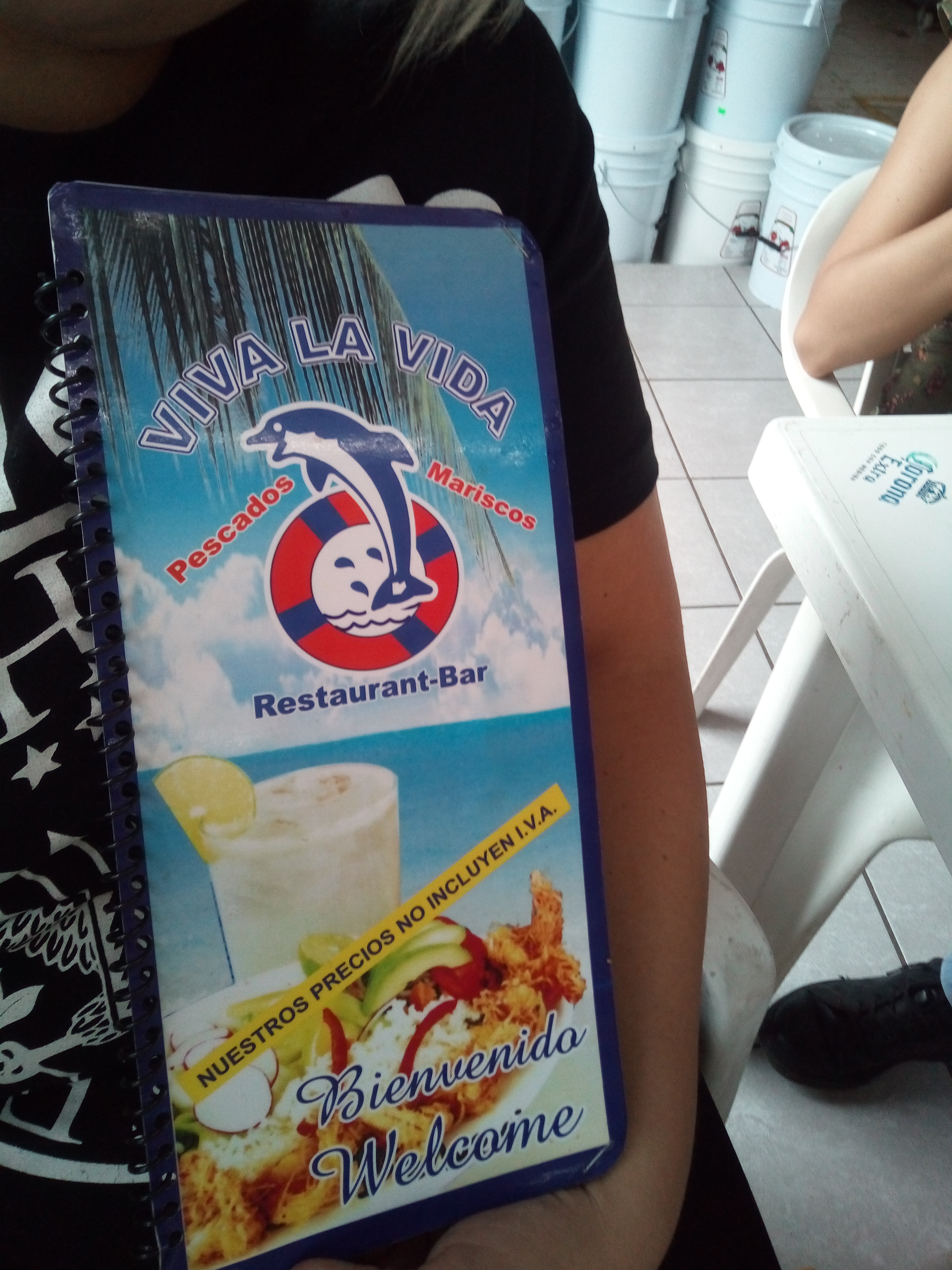 Viva la Vida image 7