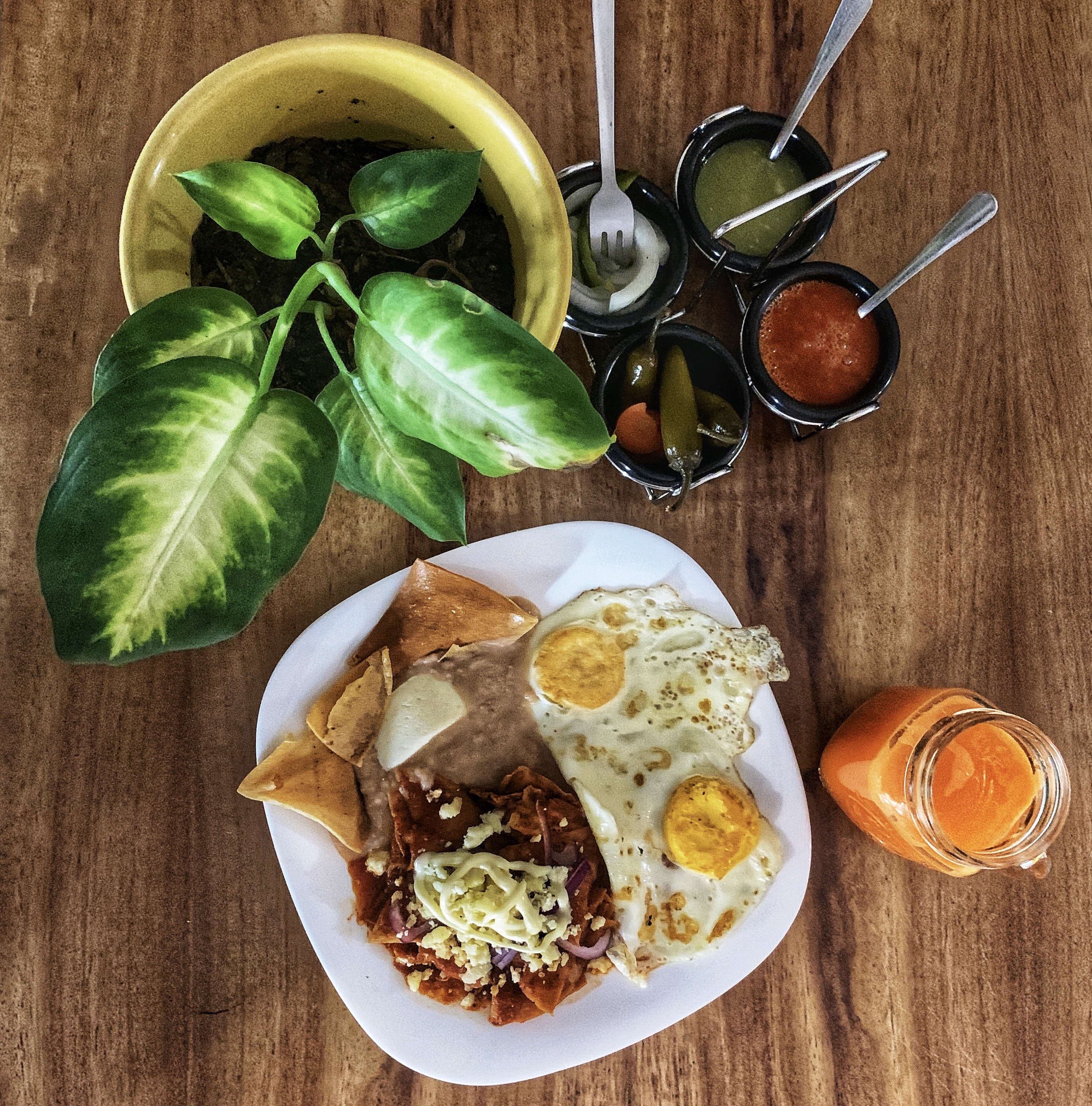 Nora Restaurante image 1