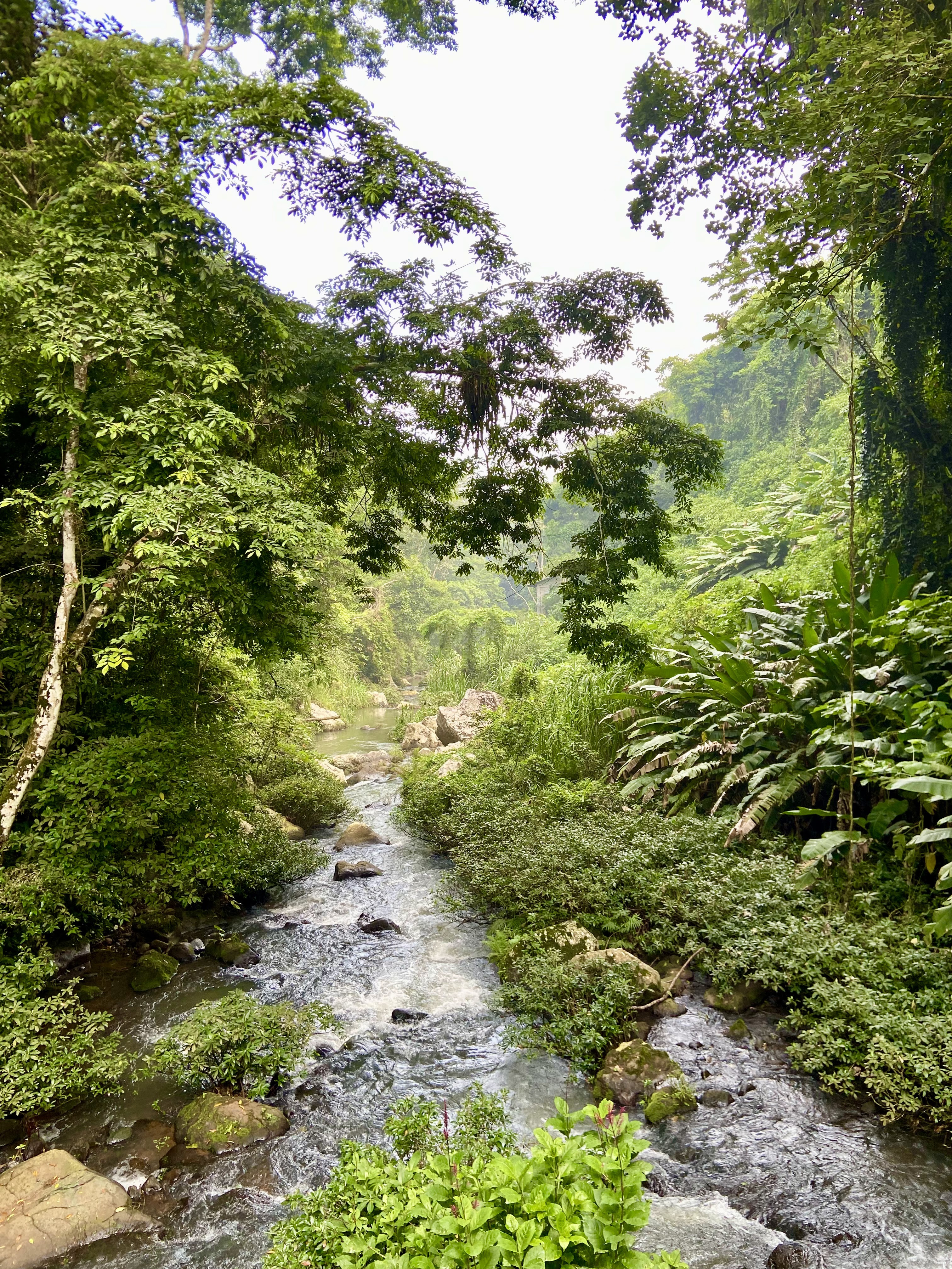 Cascada Jem Takxi Soteapan Ver image 4