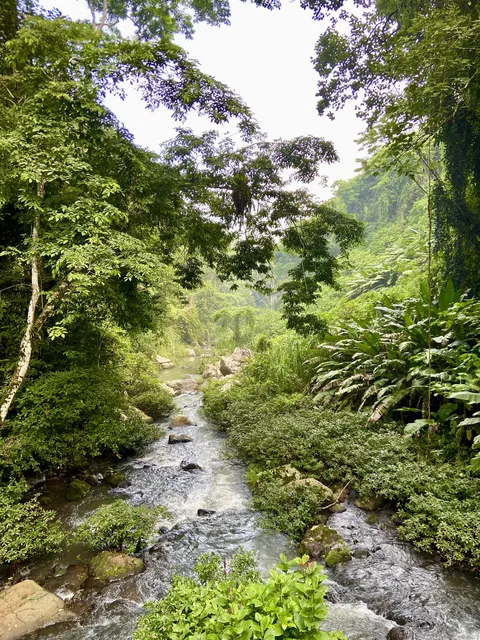 Cascada Jem Takxi Soteapan Ver image 4