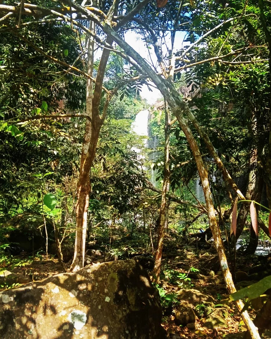 Cascada Jem Takxi Soteapan Ver image 6