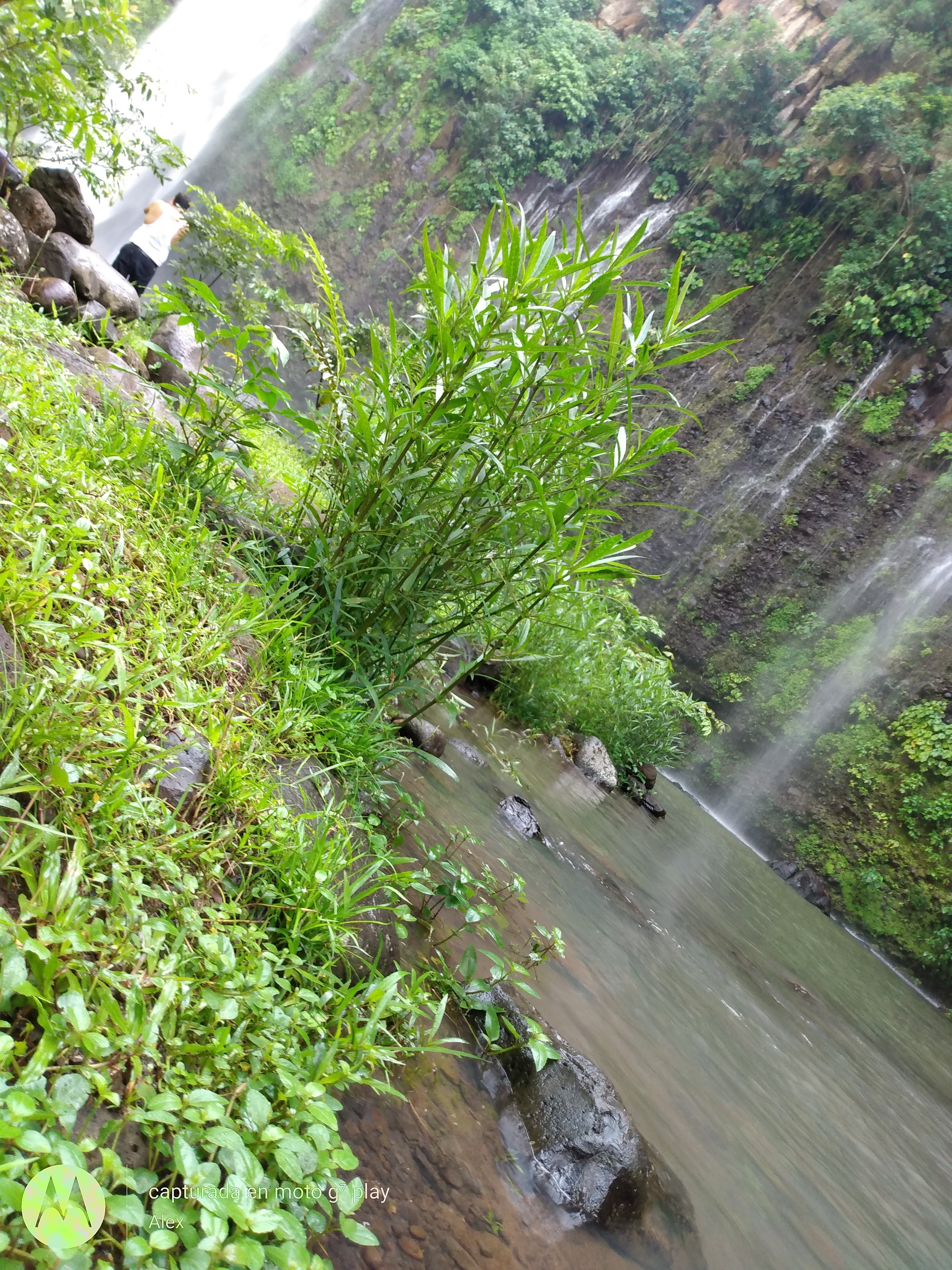 Cascada Jem Takxi Soteapan Ver image 7