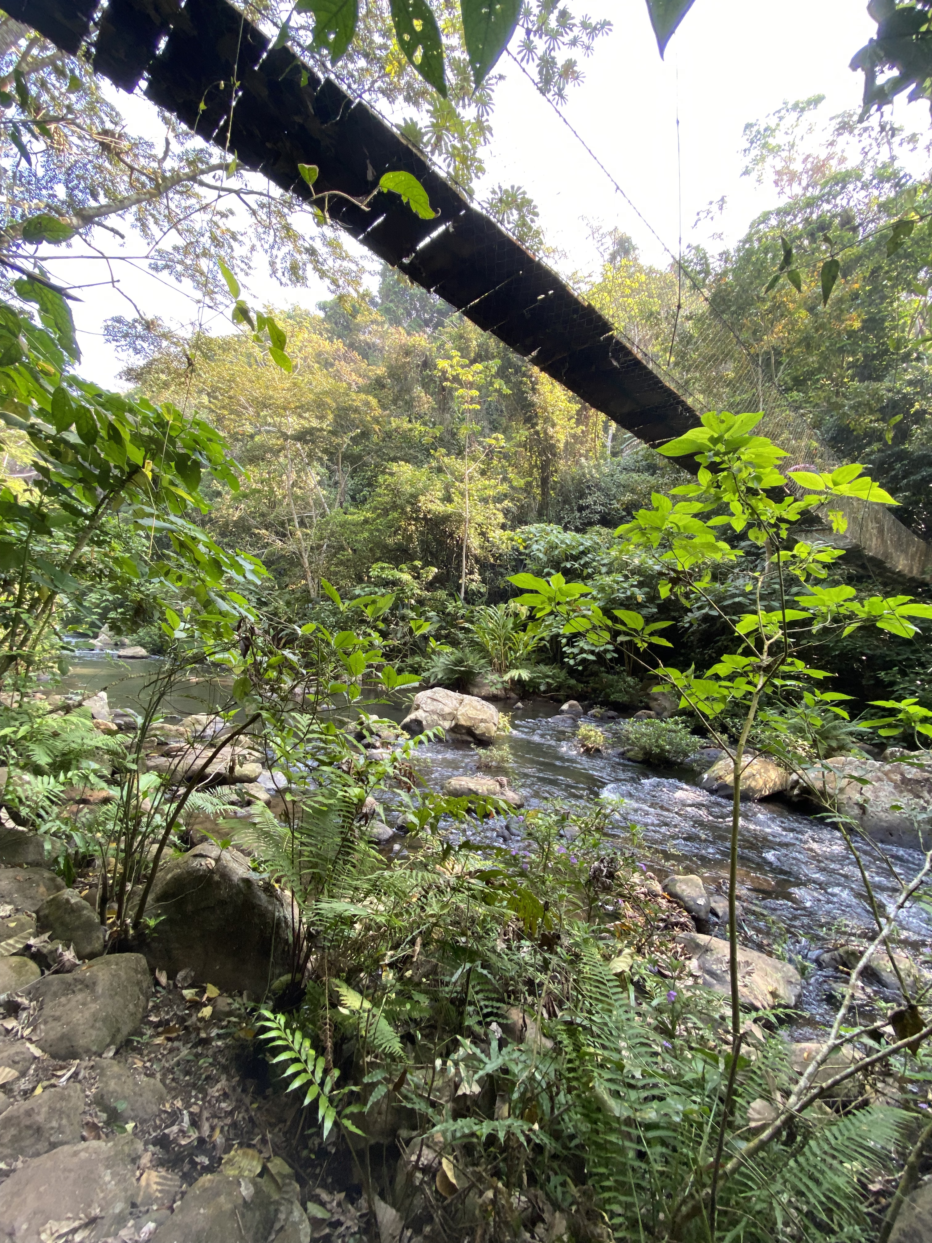 Cascada Jem Takxi Soteapan Ver image 9