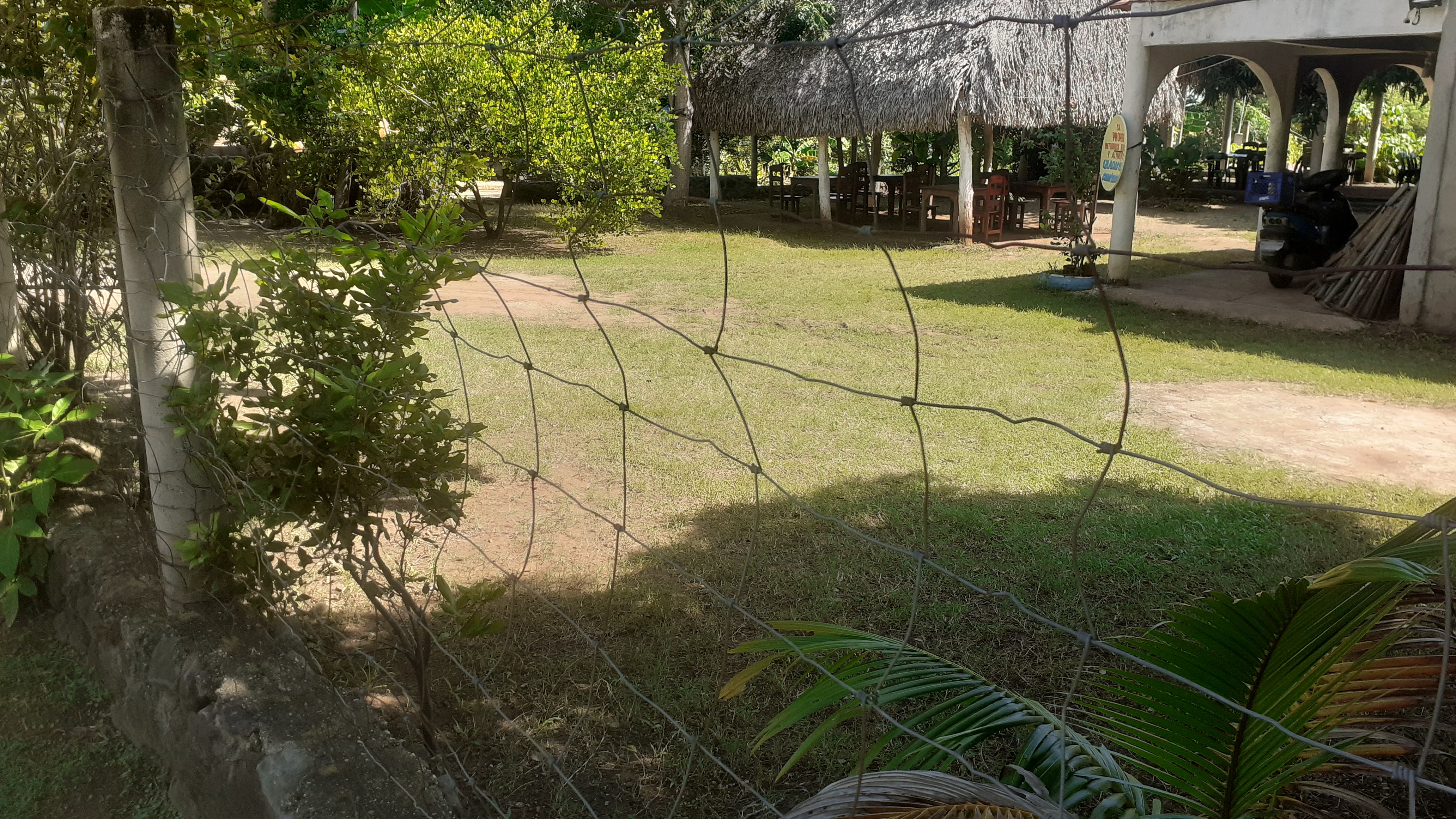 Restaurante de Mariscos (JICACAL.) Huazuntlan. Ver. image 10