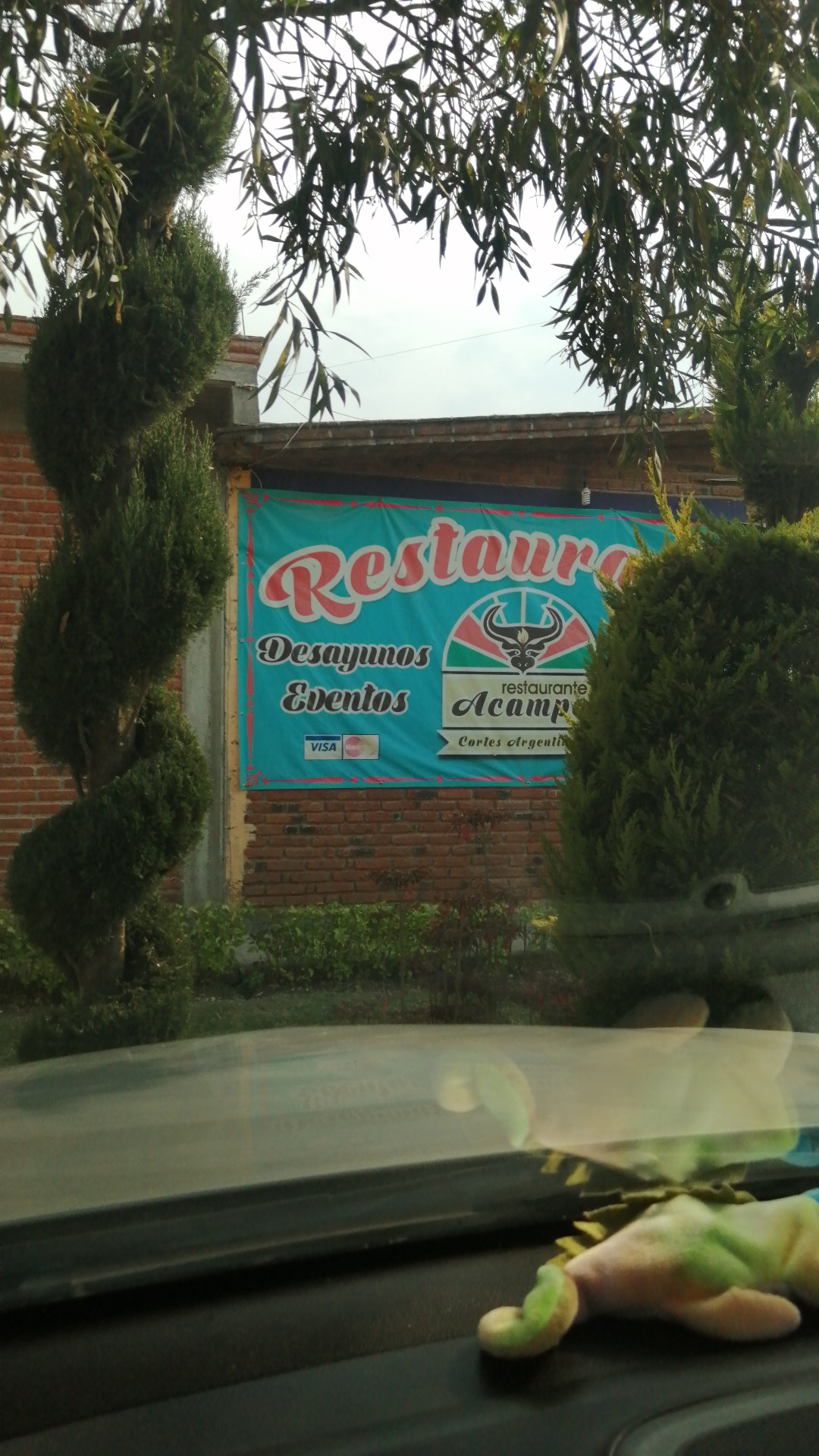 Acampe Argentino image 8