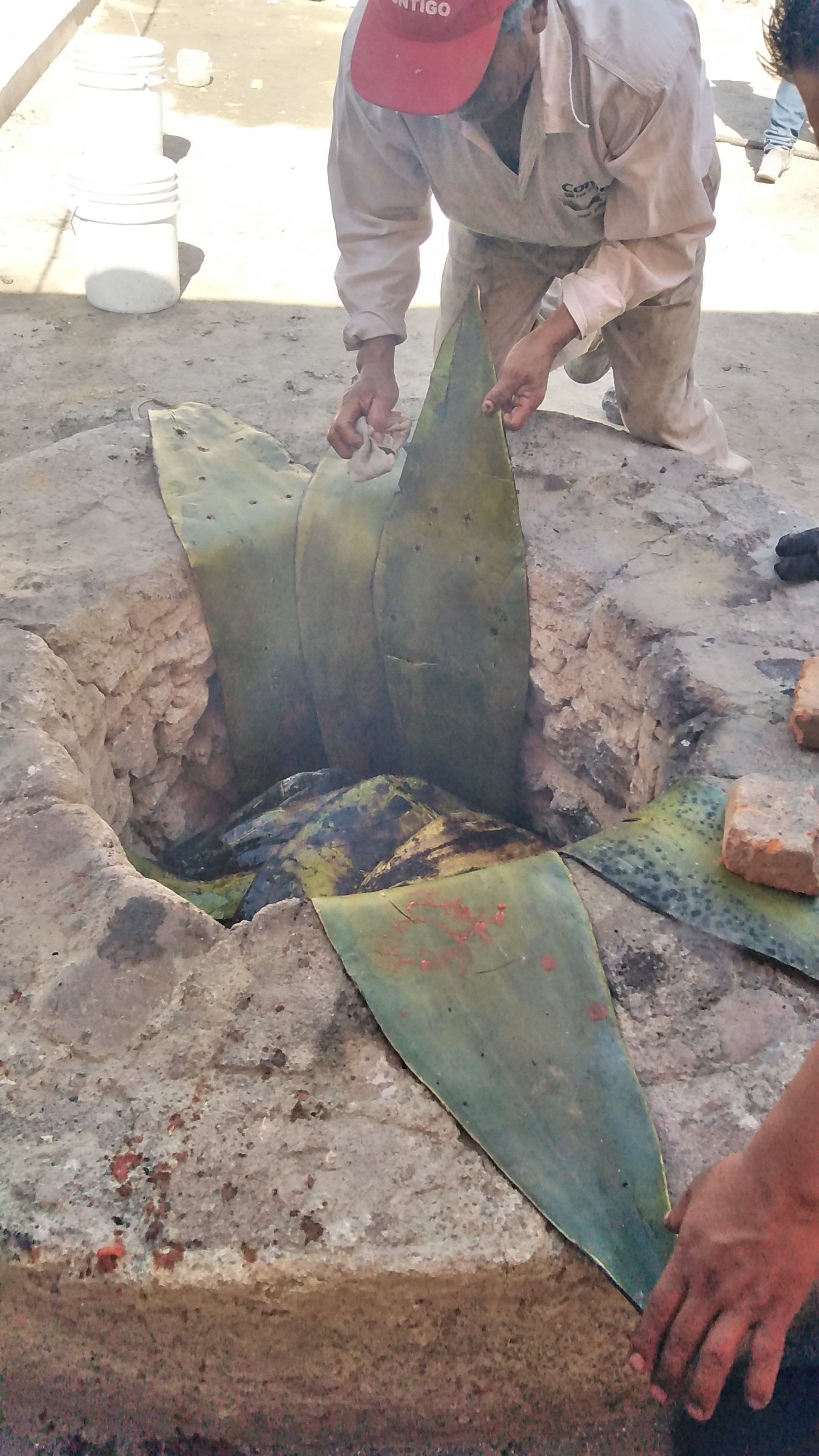 Carnitas El Palmar image 9