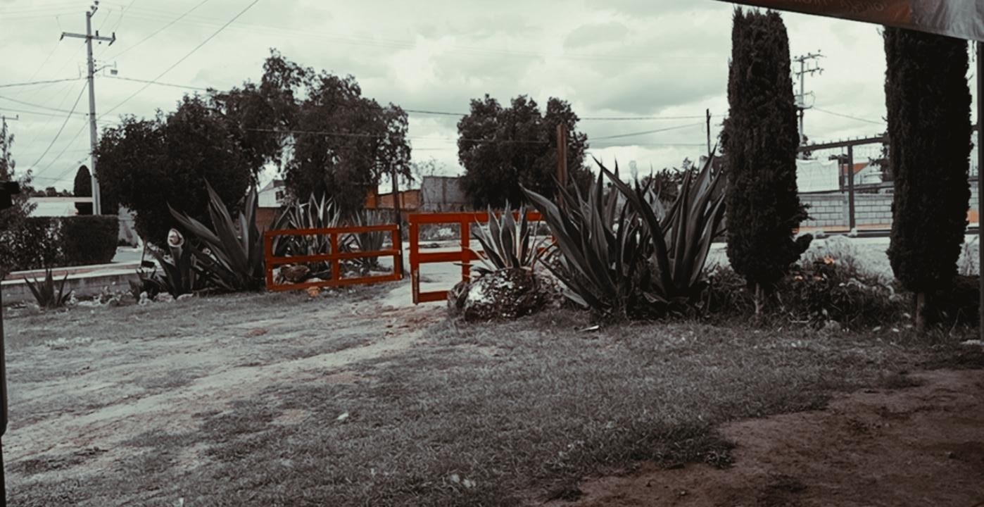 Carnitas Los Chalo's image 5