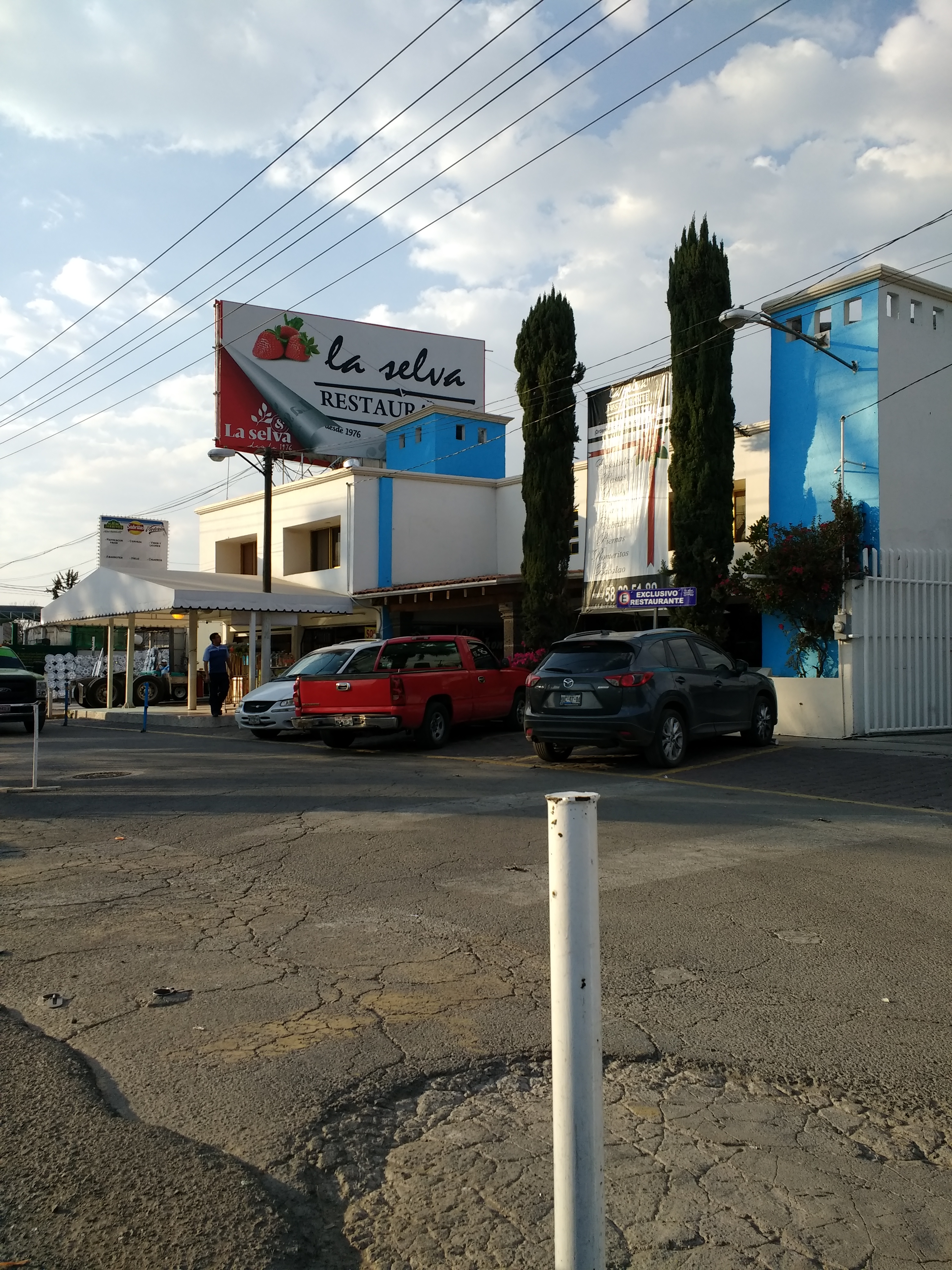 La Selva Restaurante y Bar image 8