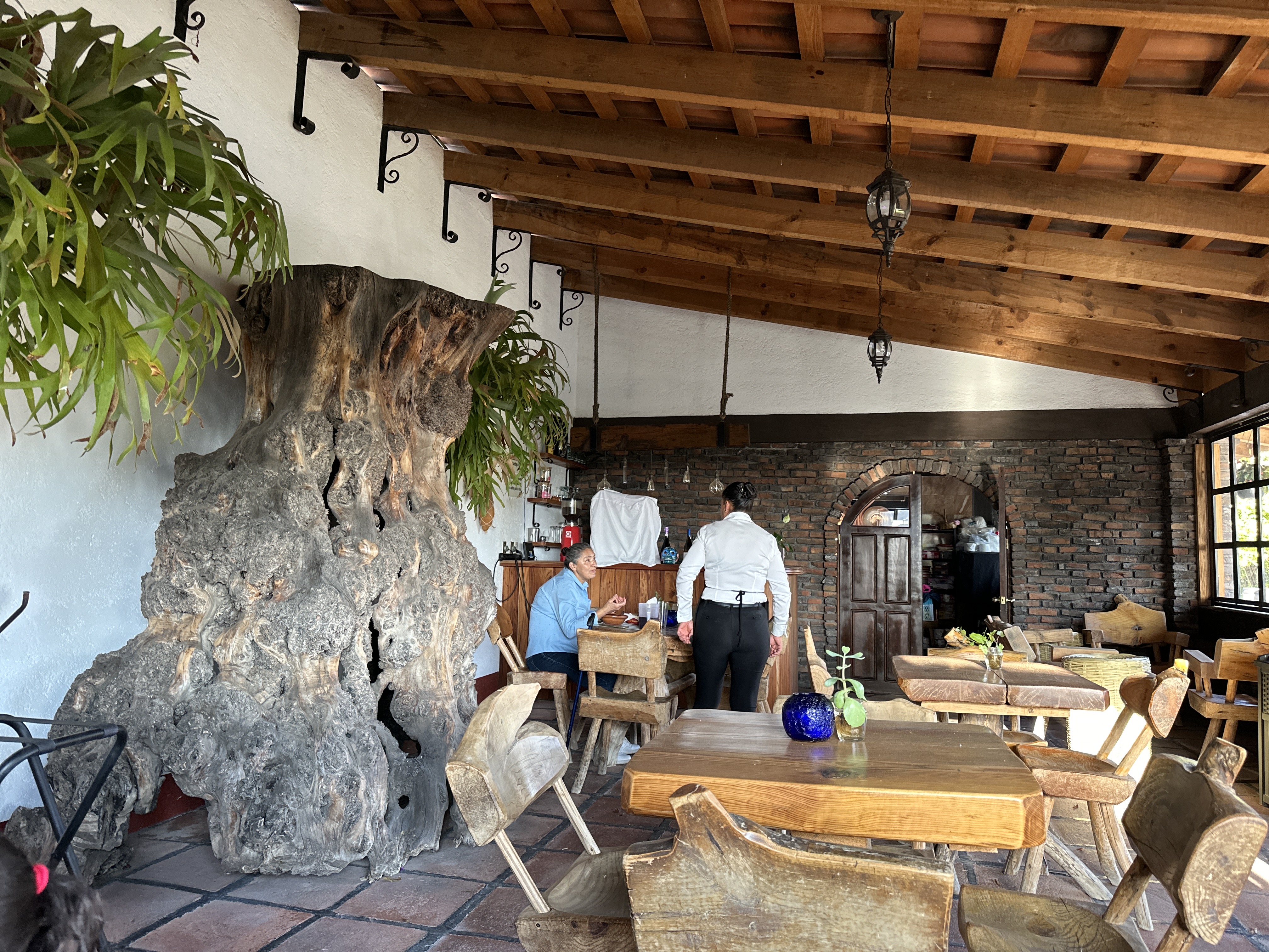 RESTAURANTE TEOZINTLE image 1