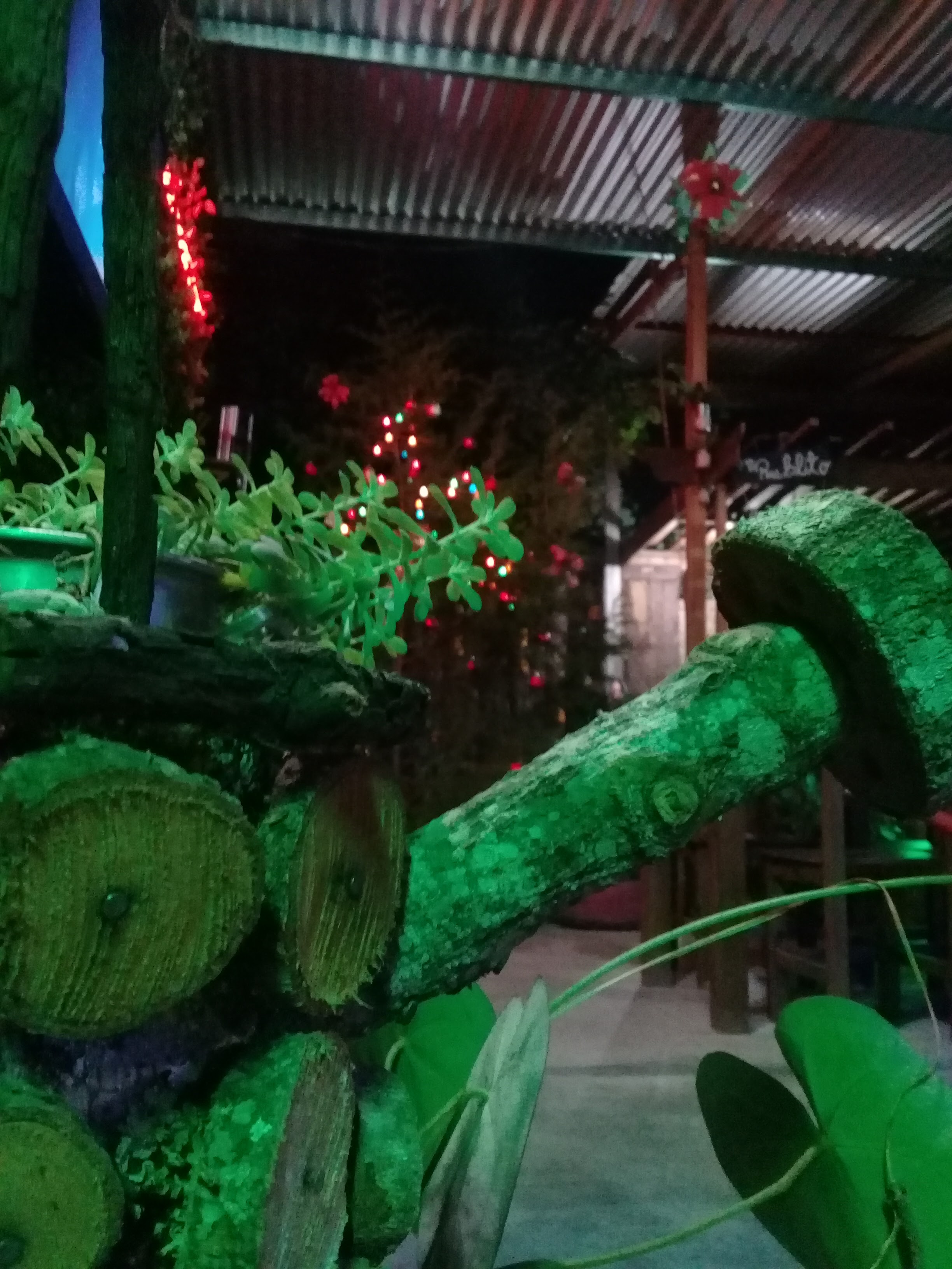 Mi pueblito image 7