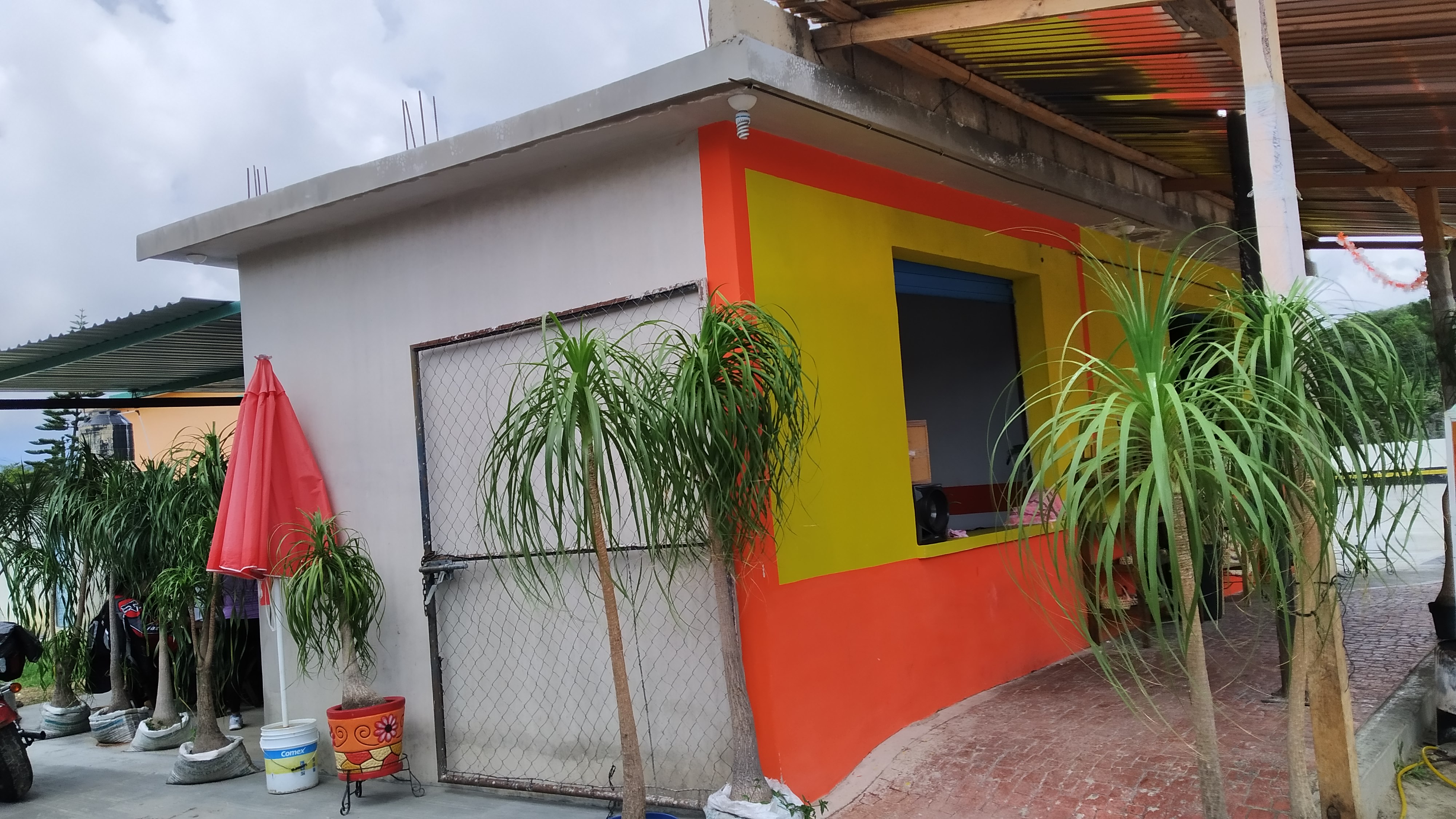 Carnitas estilo Michoacán " La Malinche" image 1