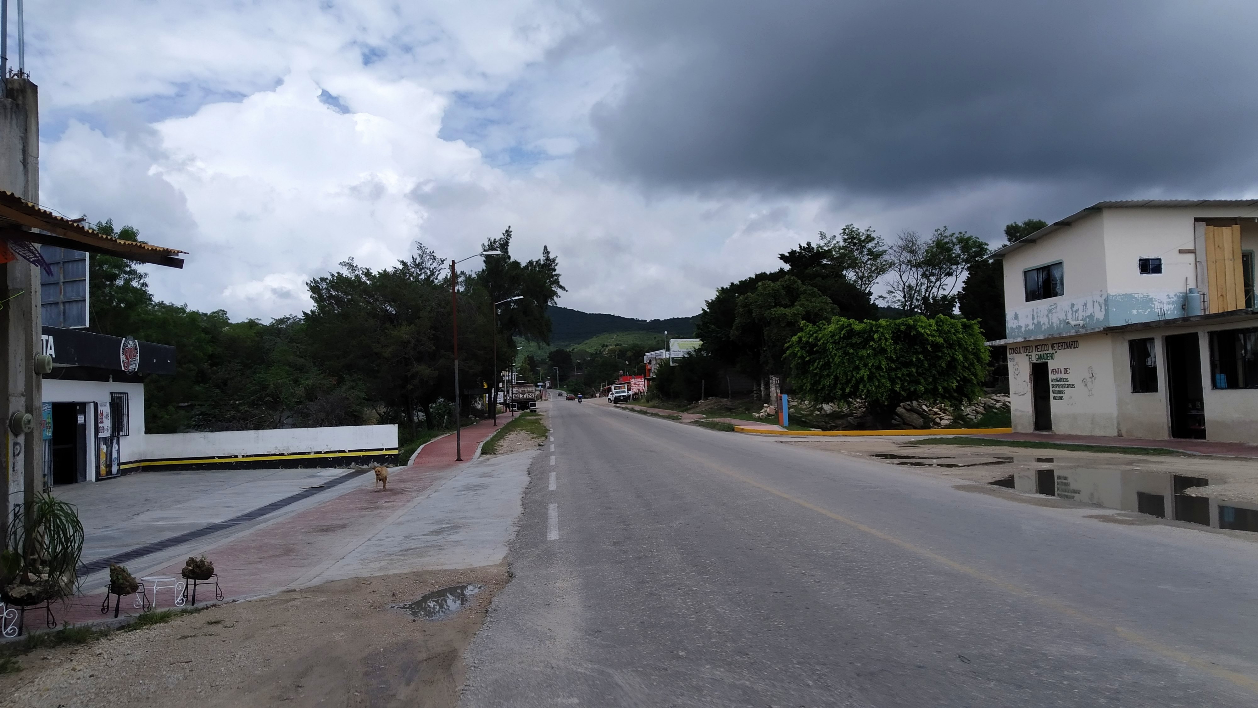 Carnitas estilo Michoacán " La Malinche" image 6