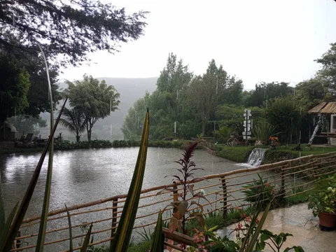 La Palapa De Modín image 4