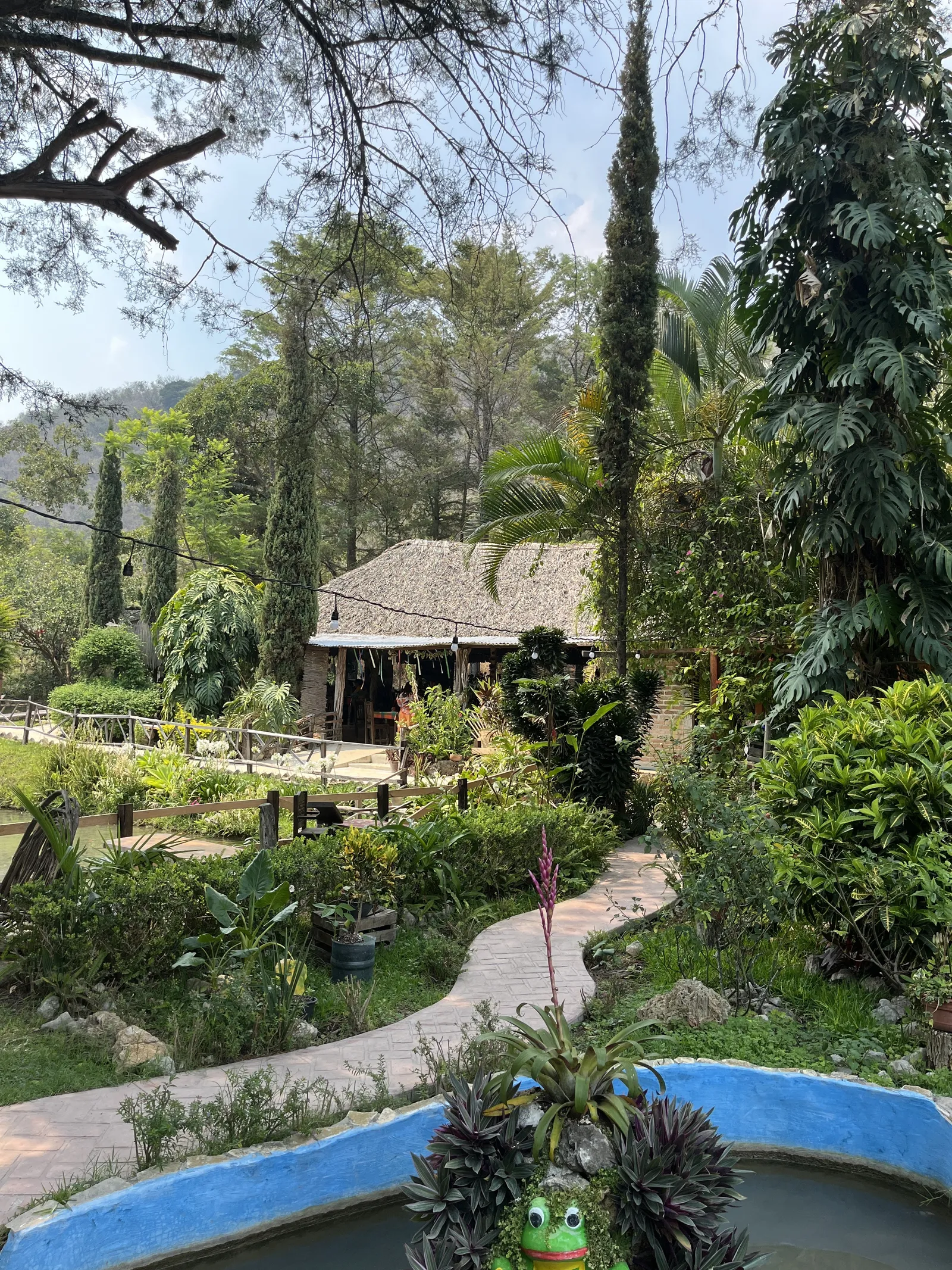 La Palapa De Modín image 9