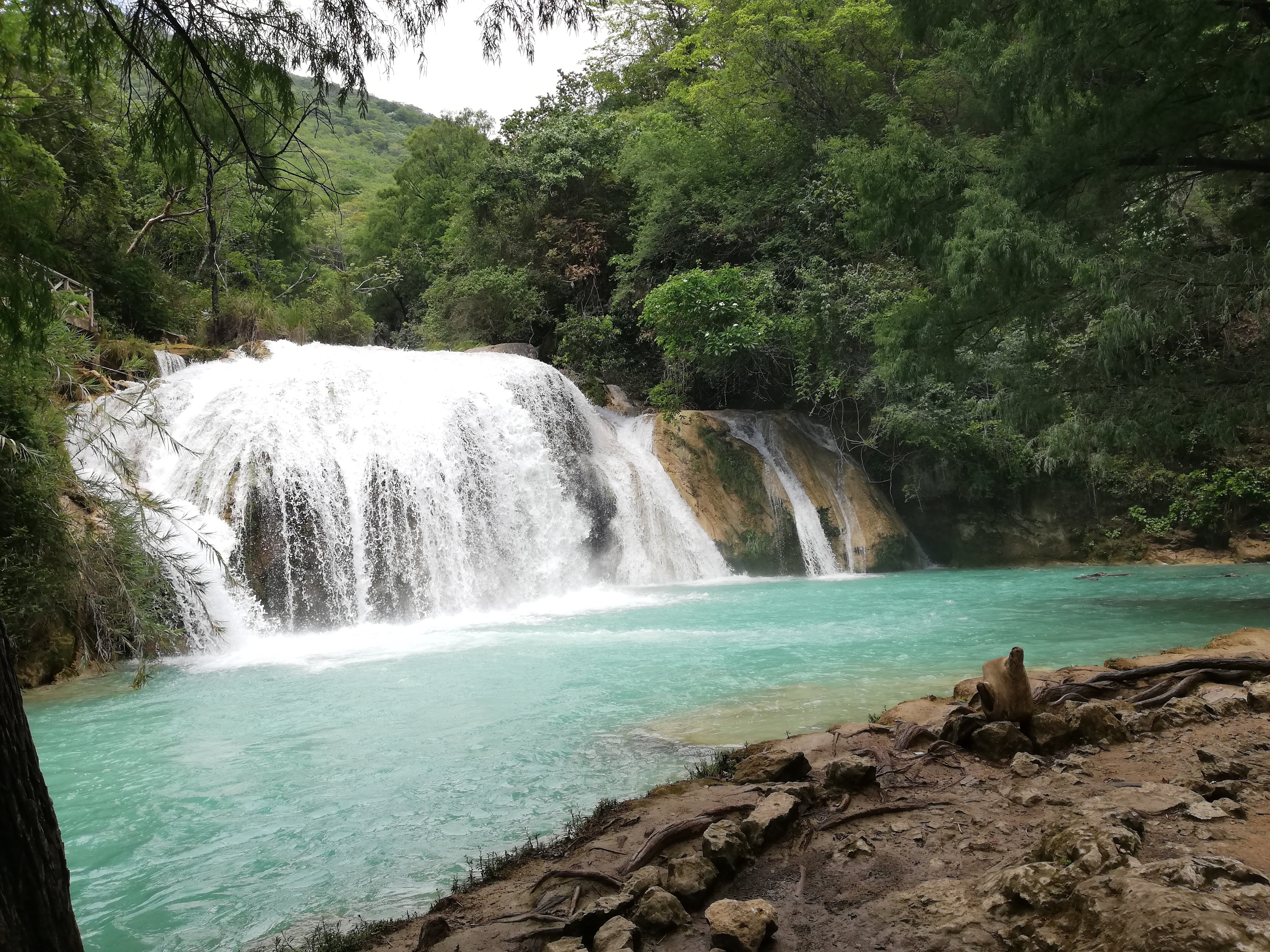 Brisas del chiflon restaurant image 3