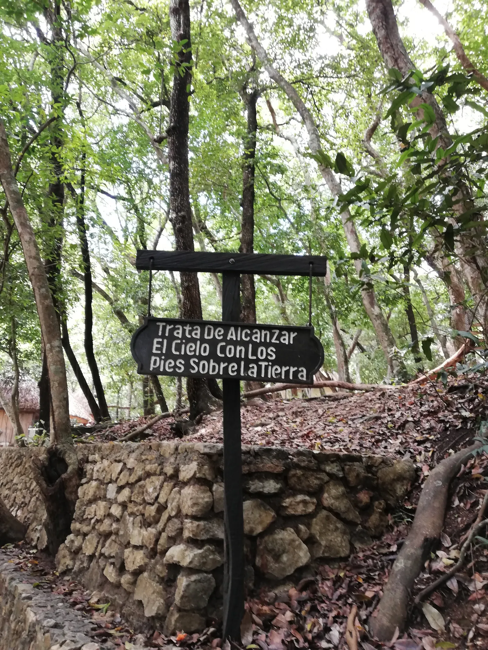 Brisas del chiflon restaurant image 6