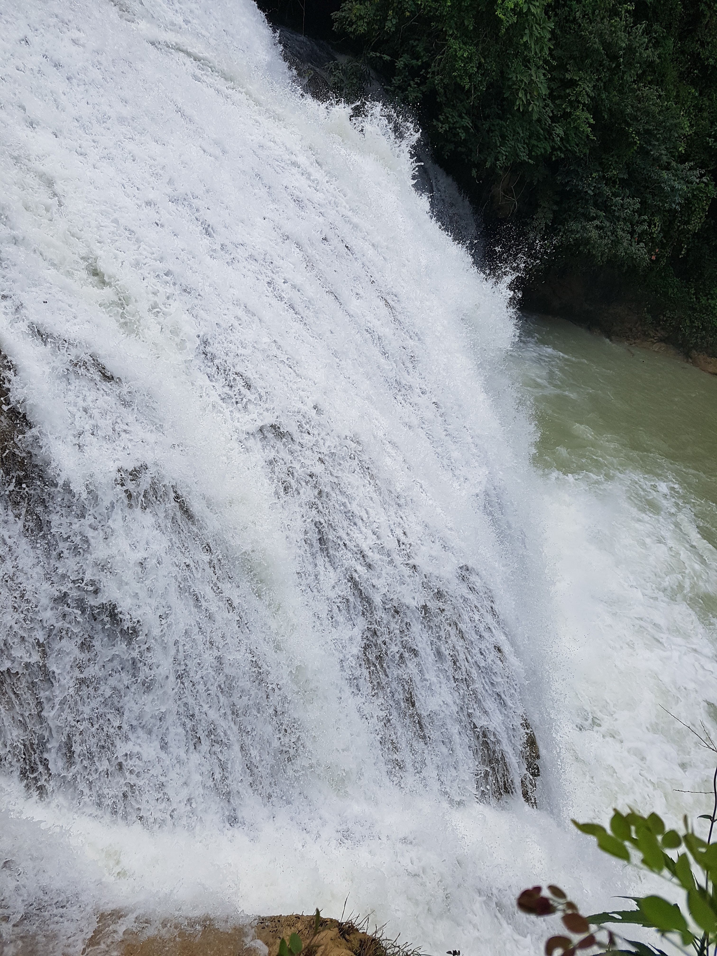 Brisas del chiflon restaurant image 7