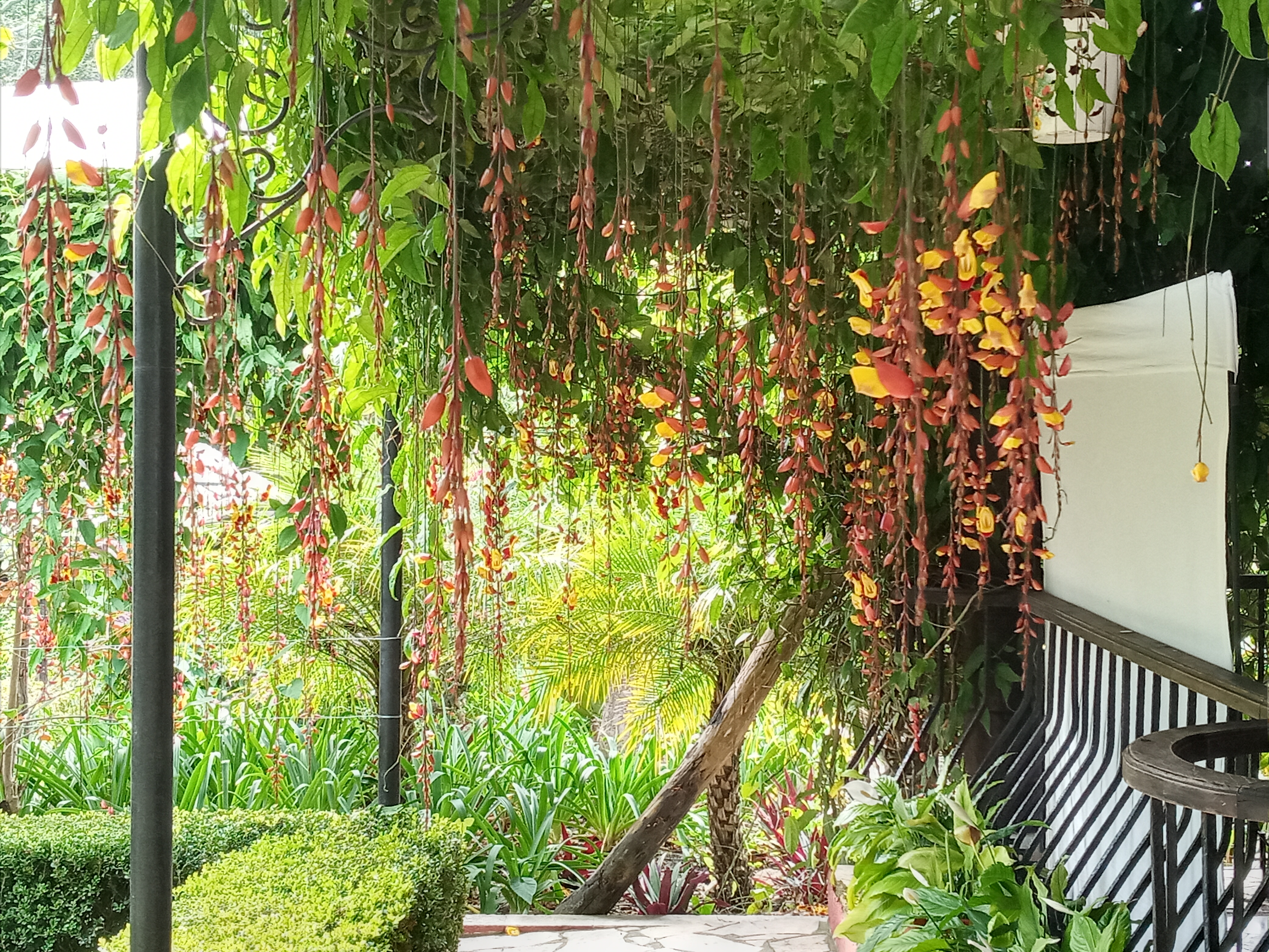 Restaurante Villa Victoria image 7