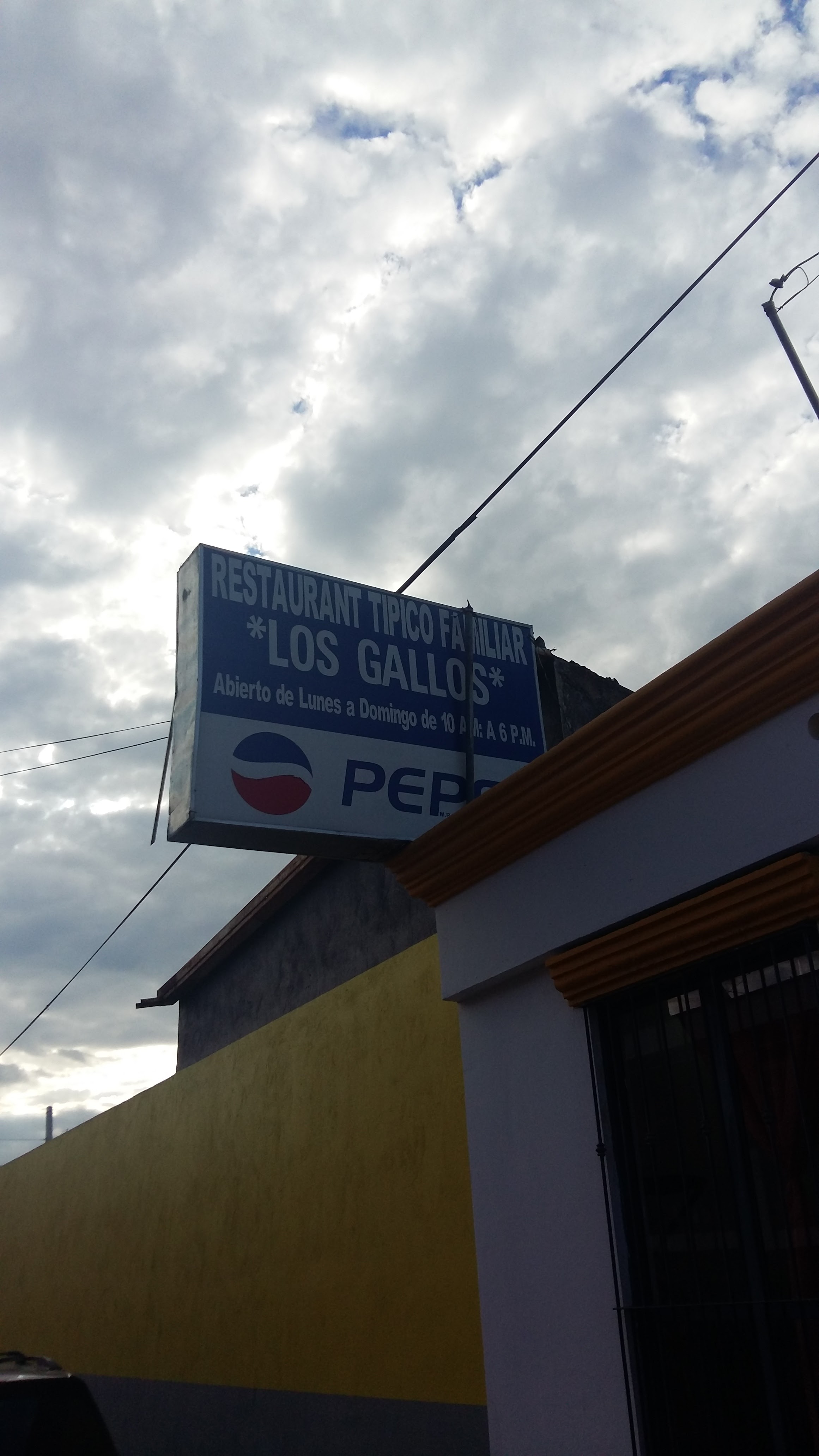 Los Gallos Restaurante De Don Tono Gallo image 2