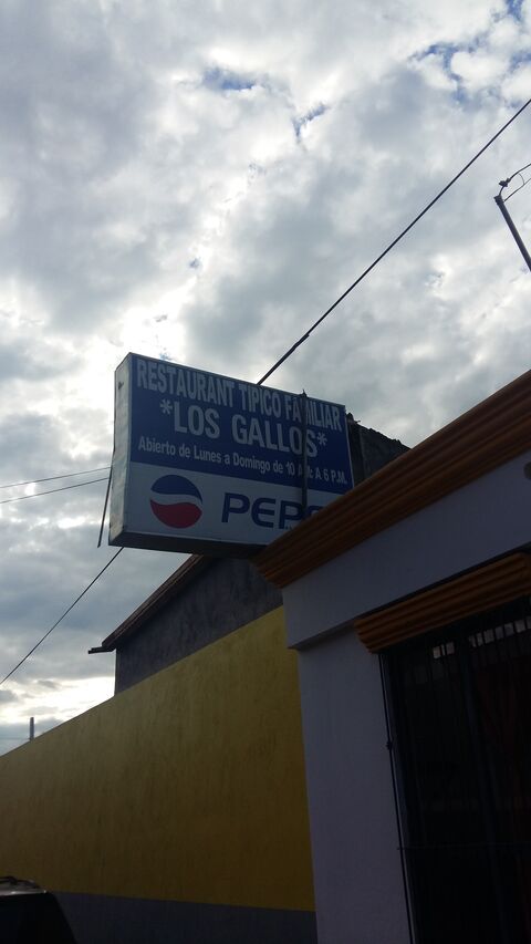 Los Gallos Restaurante De Don Tono Gallo image 2
