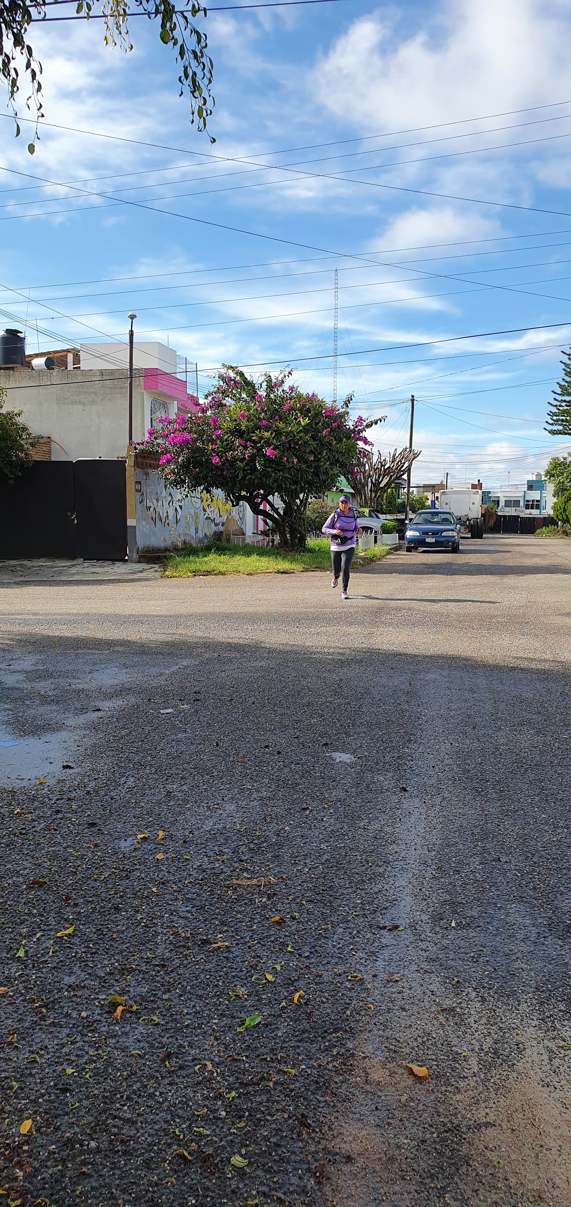 Los Gallos Restaurante De Don Tono Gallo image 4