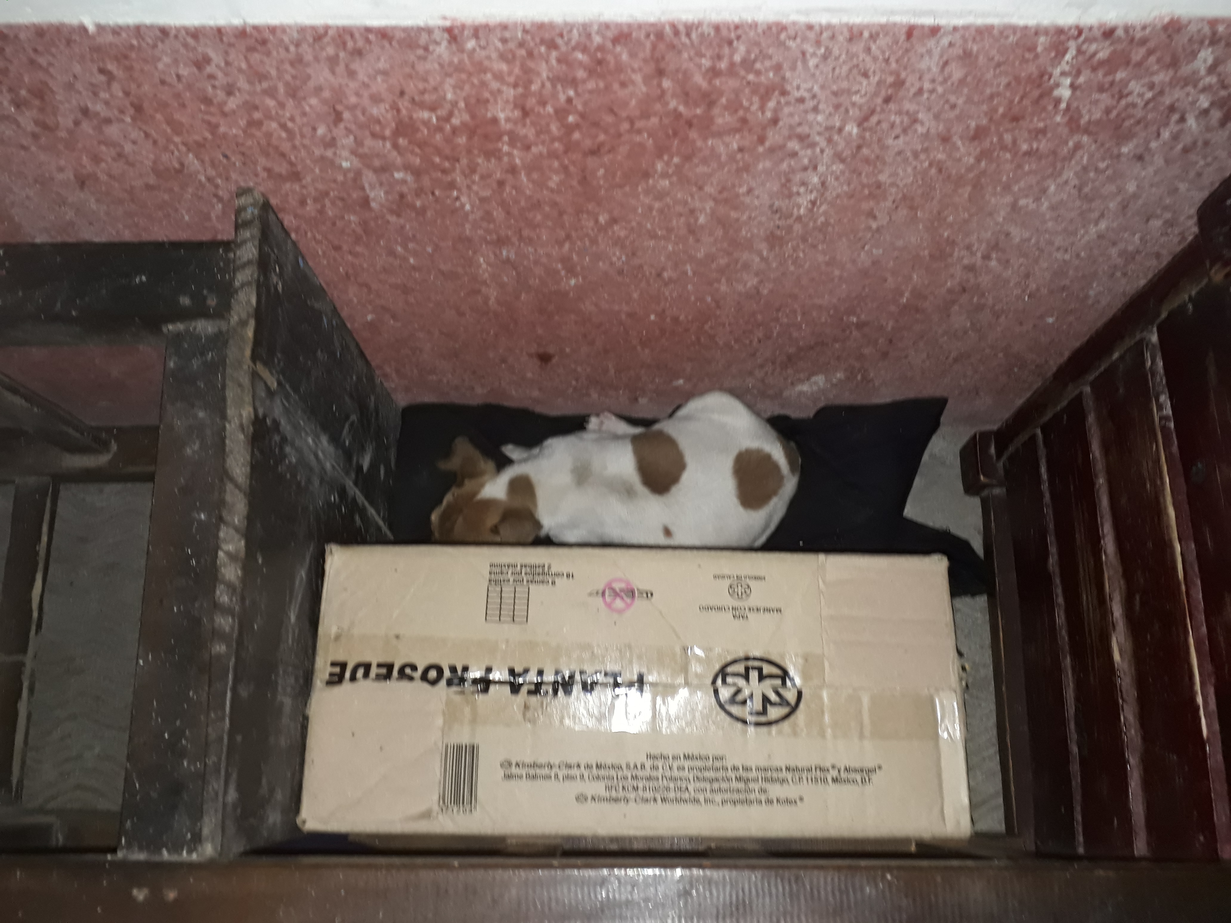 Taqueria "San Juan" image 1