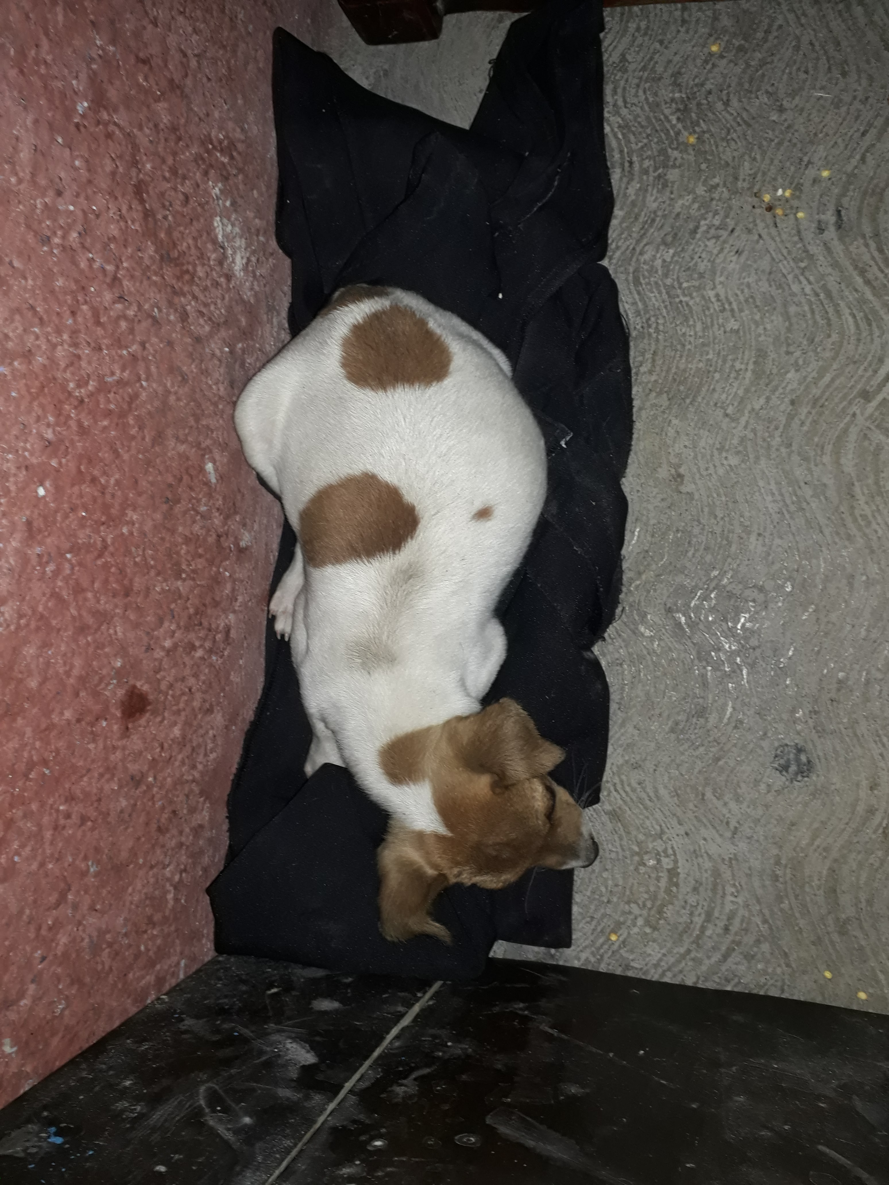 Taqueria "San Juan" image 3