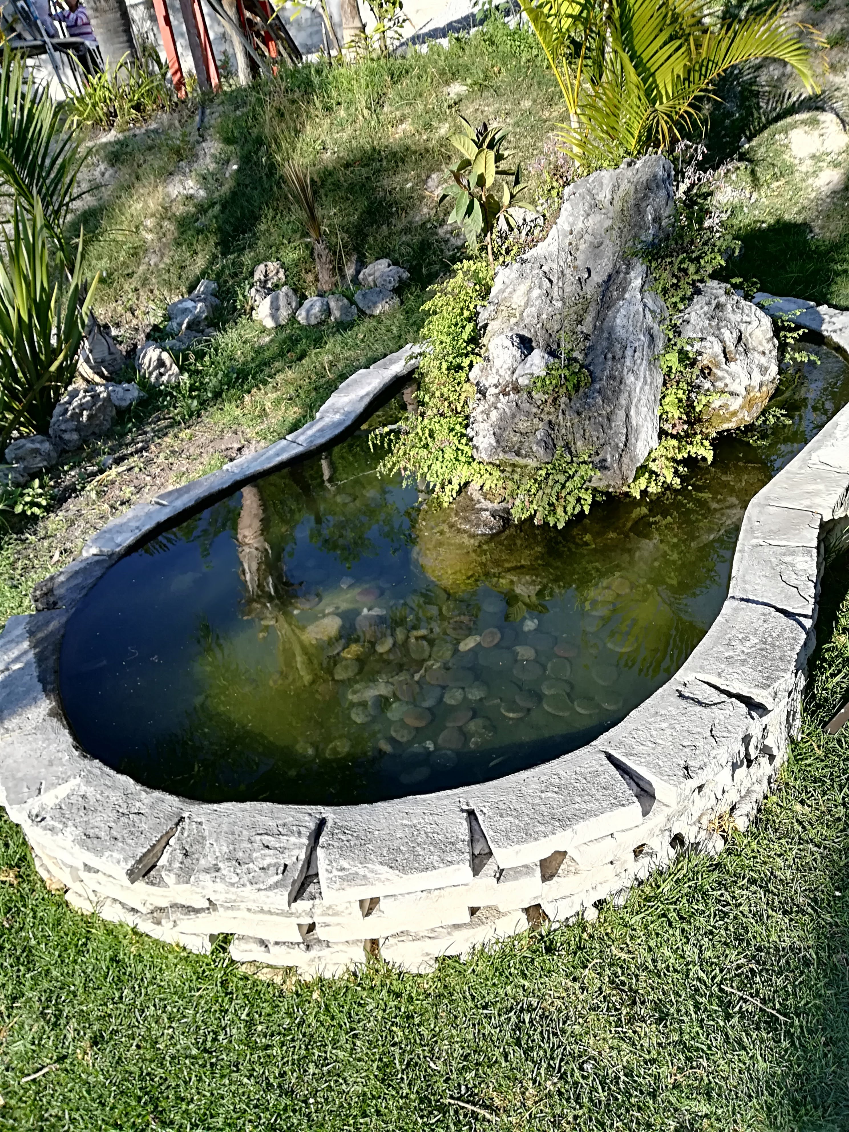 Restaurante La Huerta Cocina de Valientes image 10