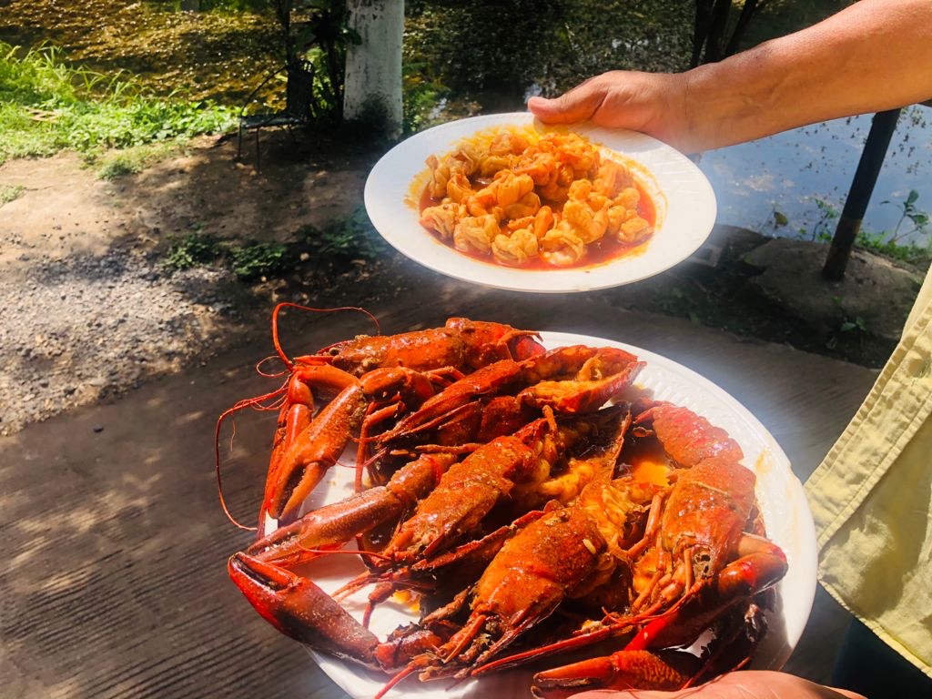LA BOCATOMA PALAPA AZUL image 2