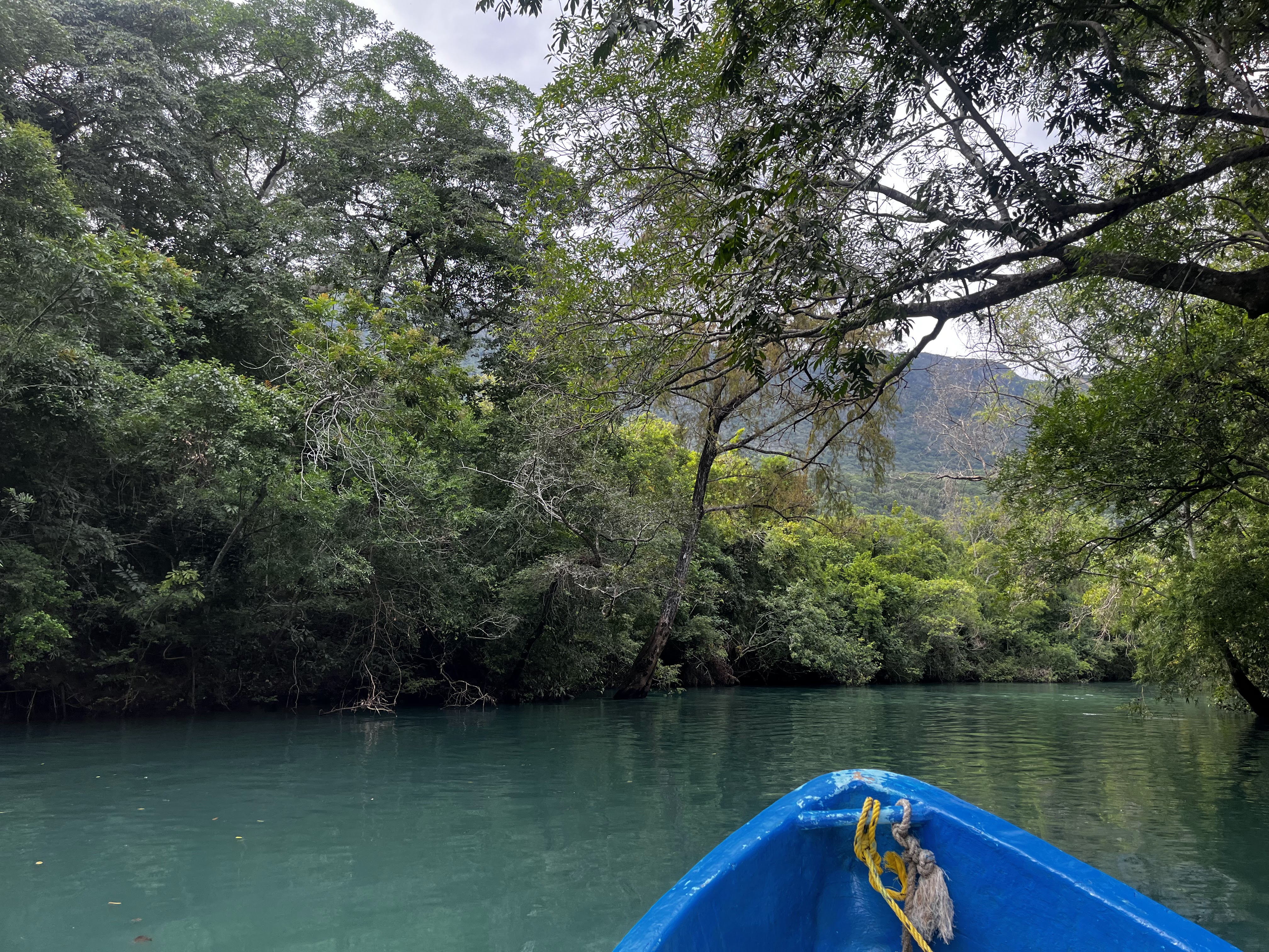 LA BOCATOMA PALAPA AZUL image 8