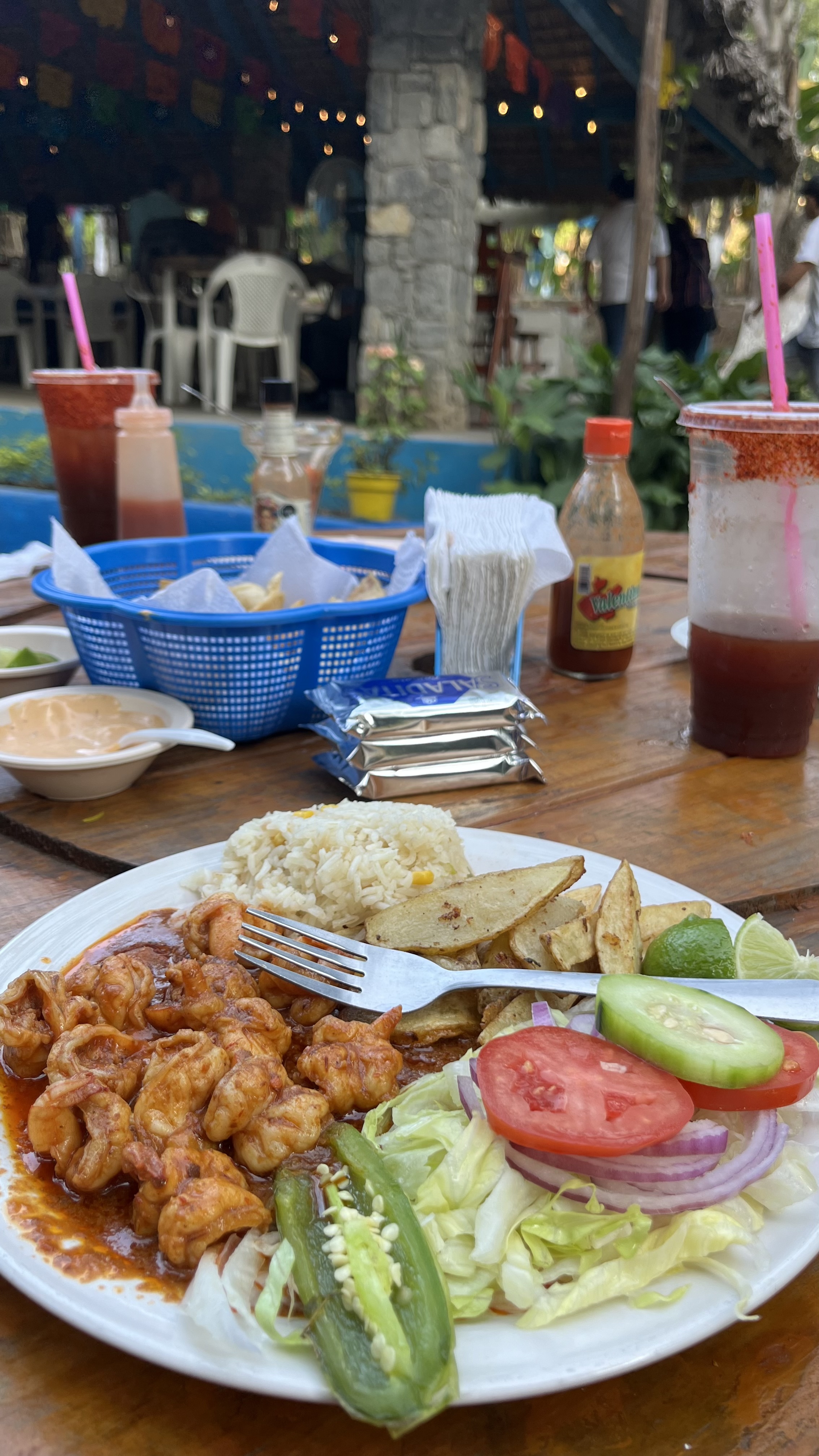 LA BOCATOMA PALAPA AZUL image 9